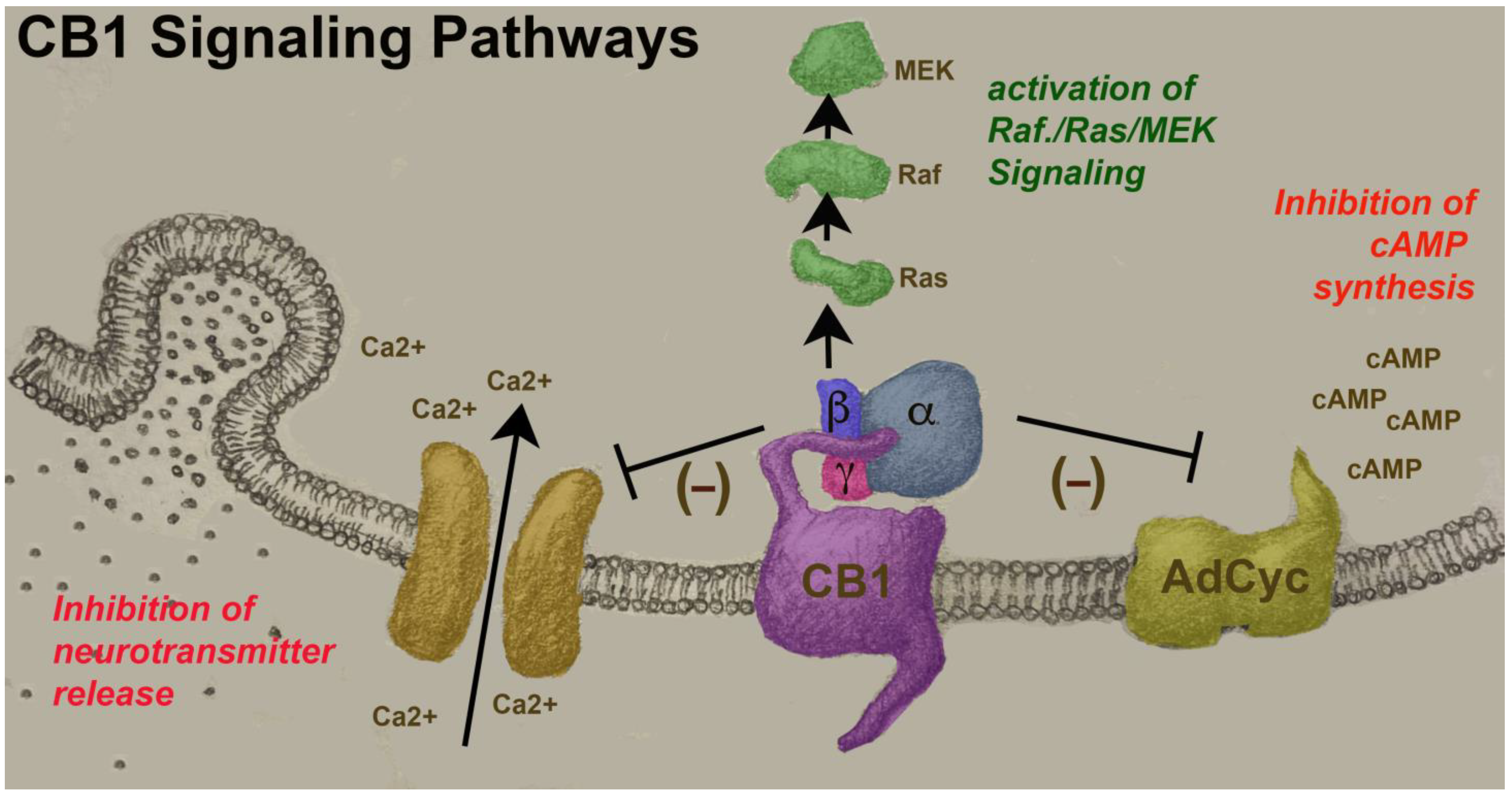 Ddc 02 00035 g003 Ddc 02 00035 g003