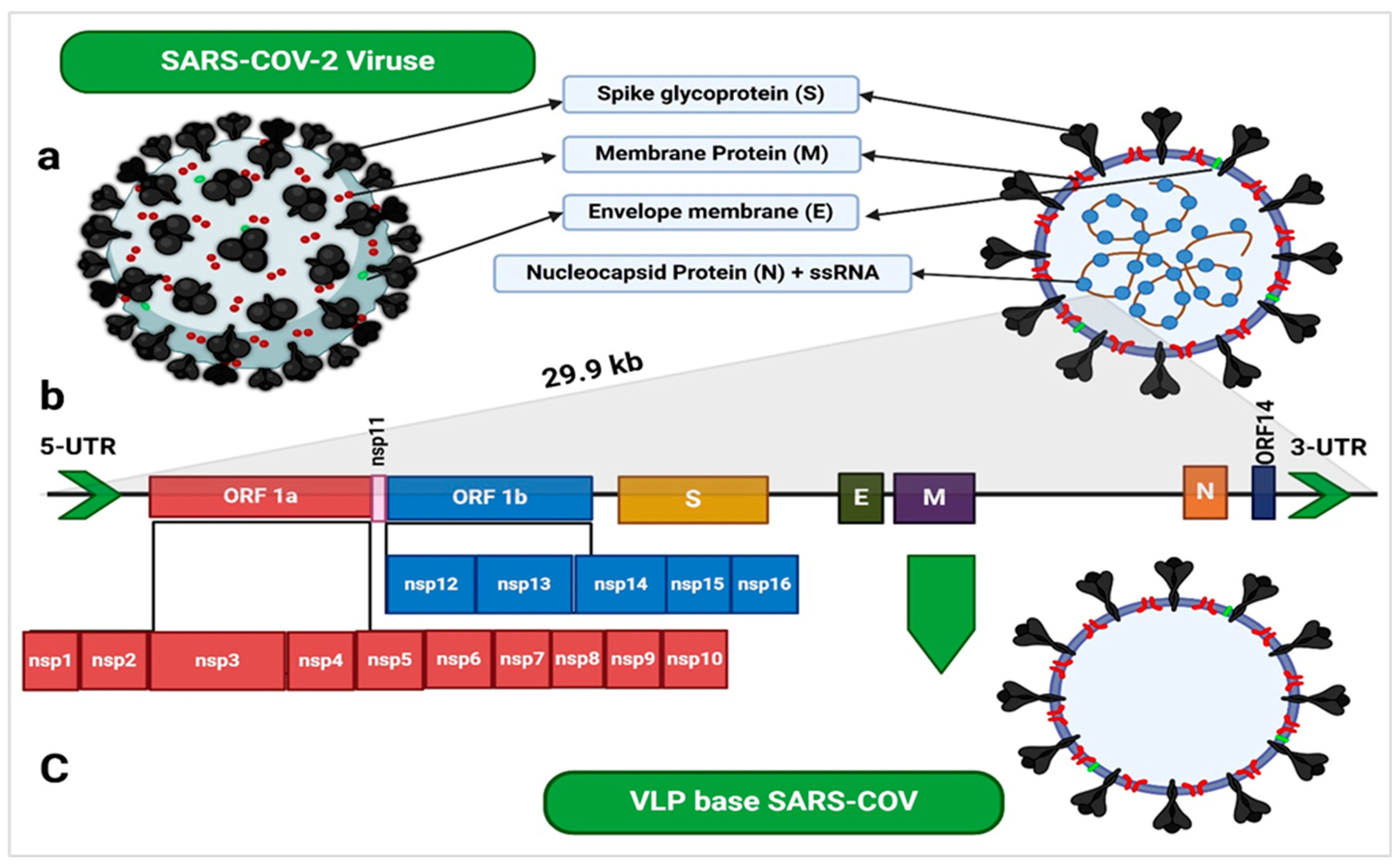 Ddc 04 00005 g001 Ddc 04 00005 g001