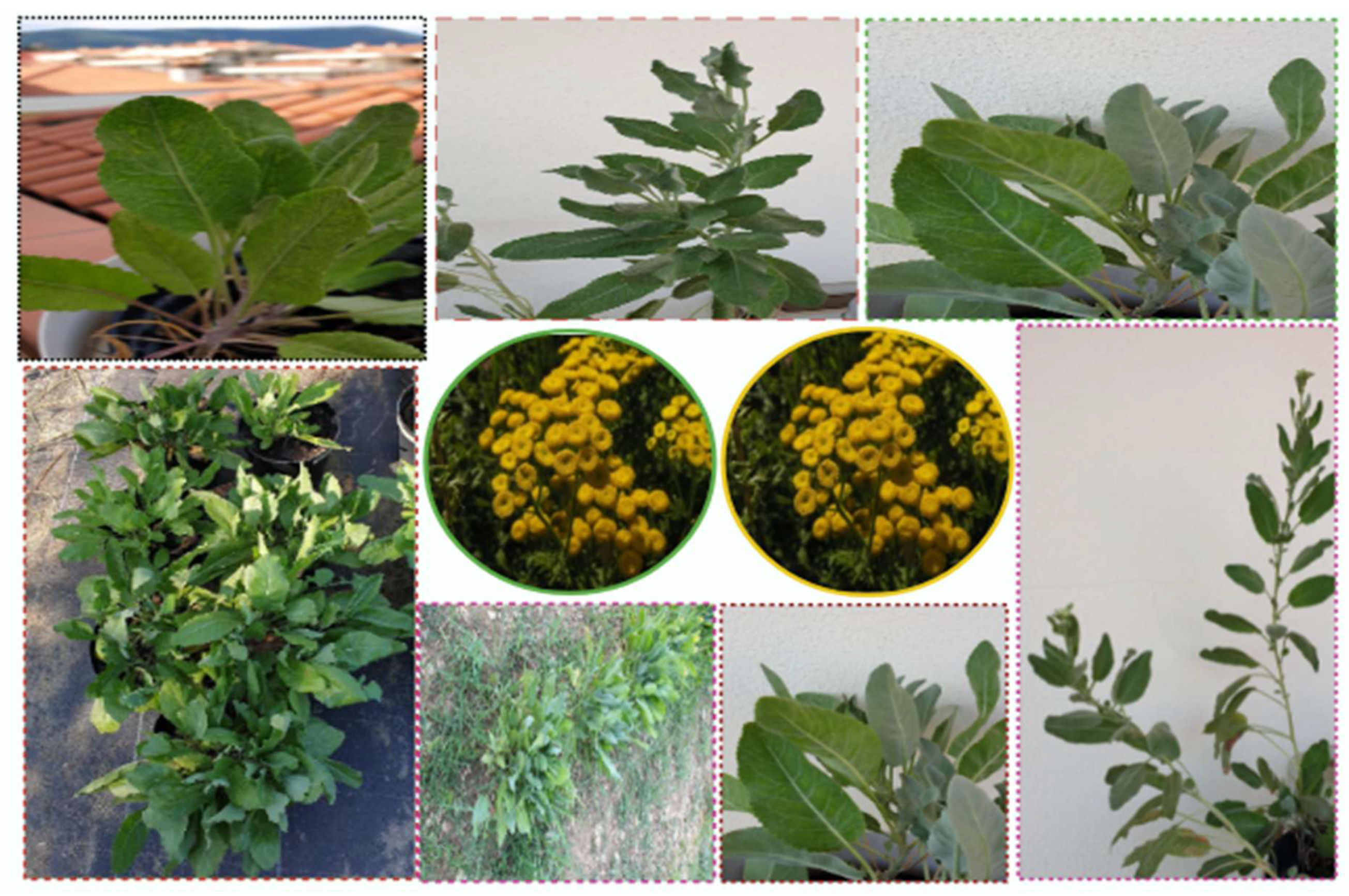 Ddc 04 00010 g001 Ddc 04 00010 g001