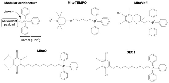 Modular architecture and representative chemical structures of MTAs.