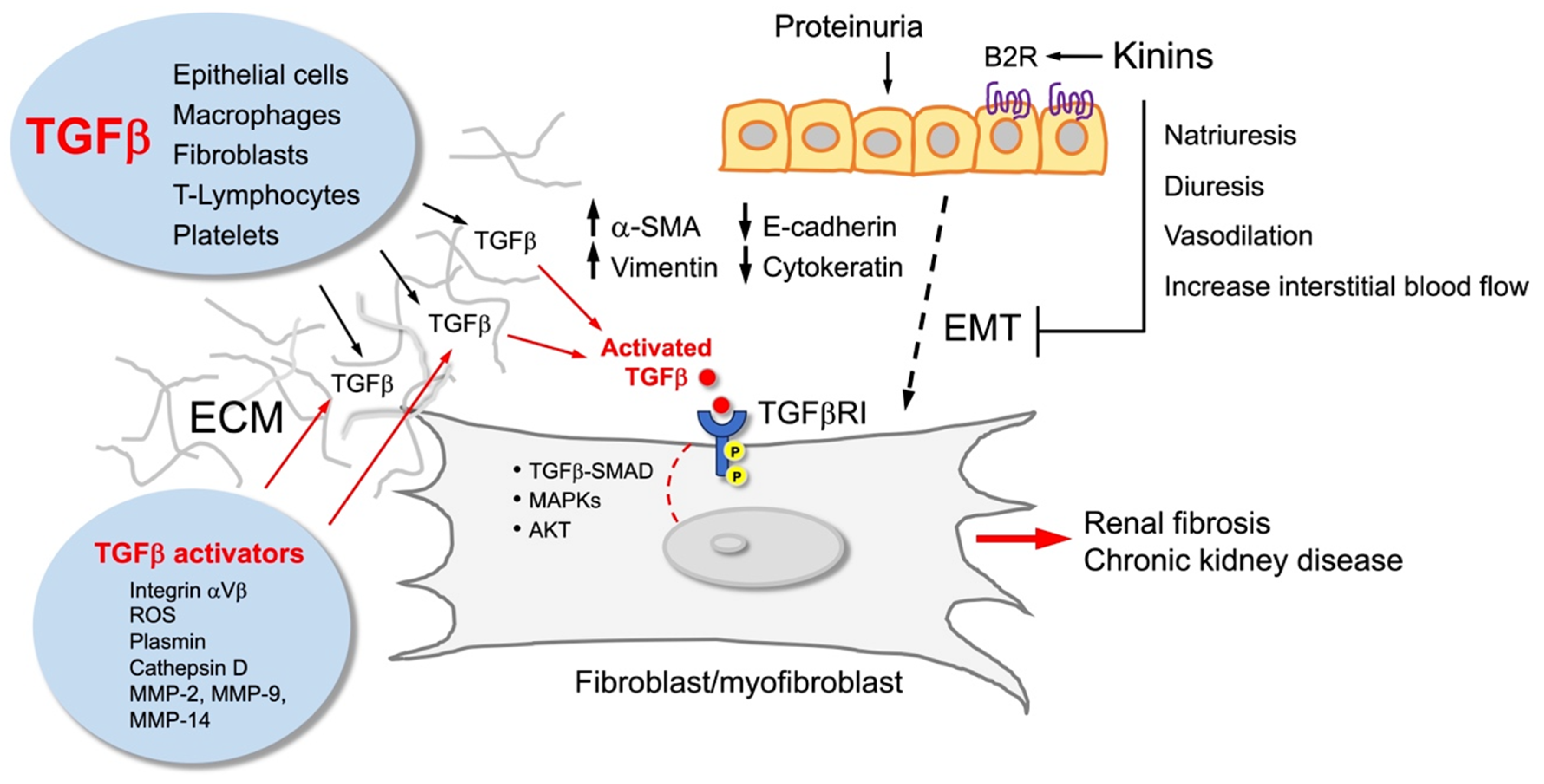 Ddc 05 00013 g003 Ddc 05 00013 g003