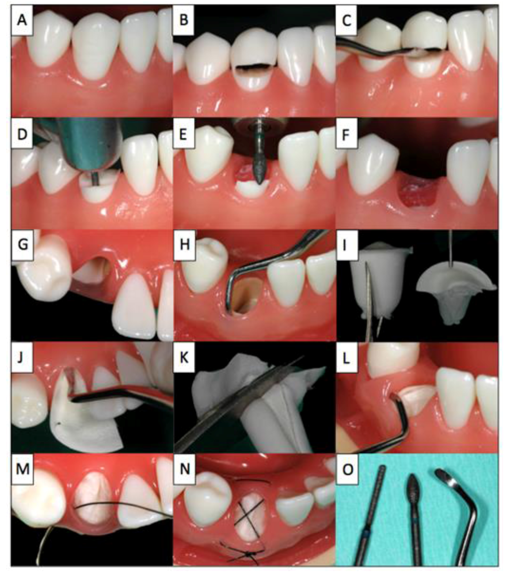 Dentistry 02 00011 g001
