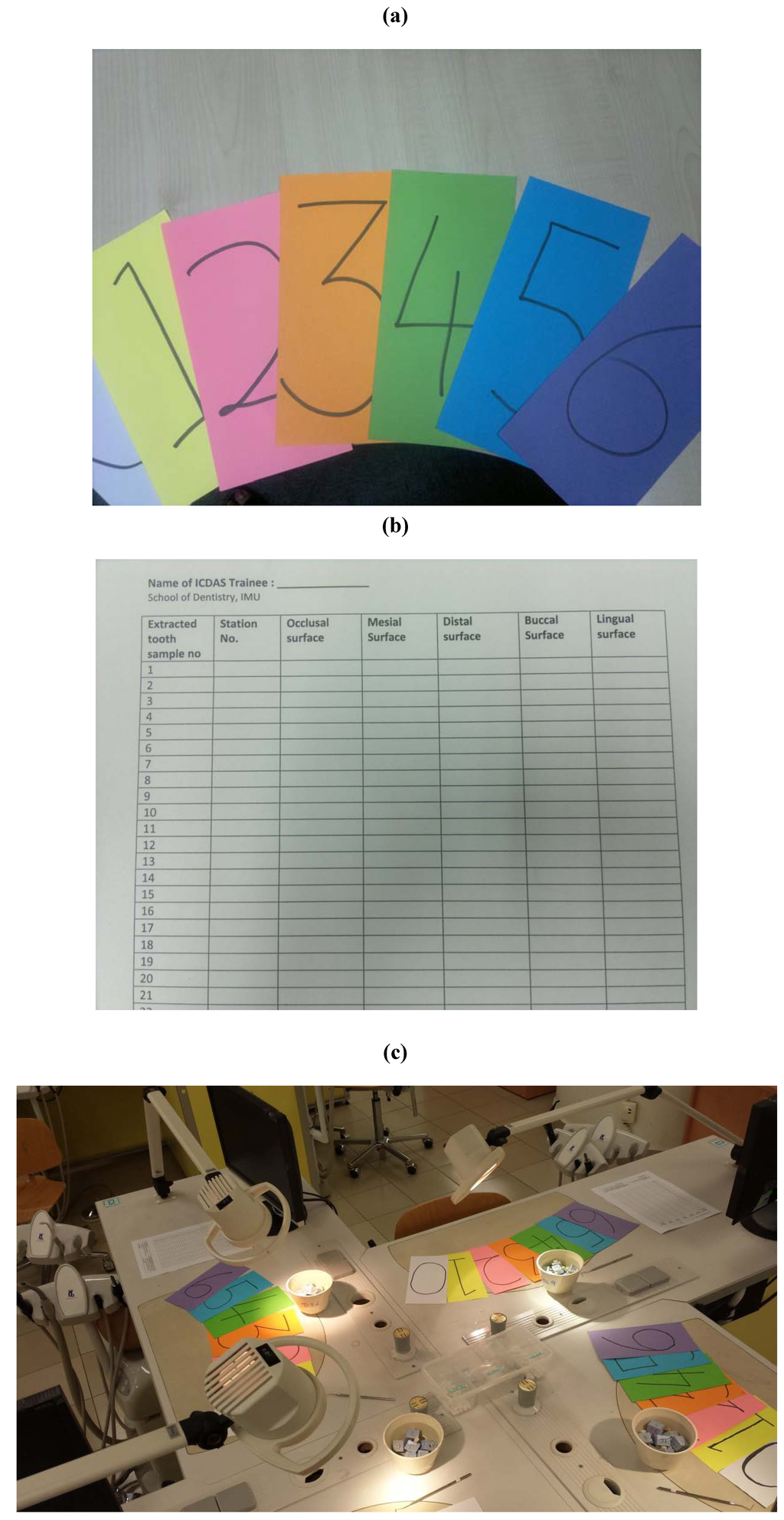 Dentistry 02 00041 g005 1024