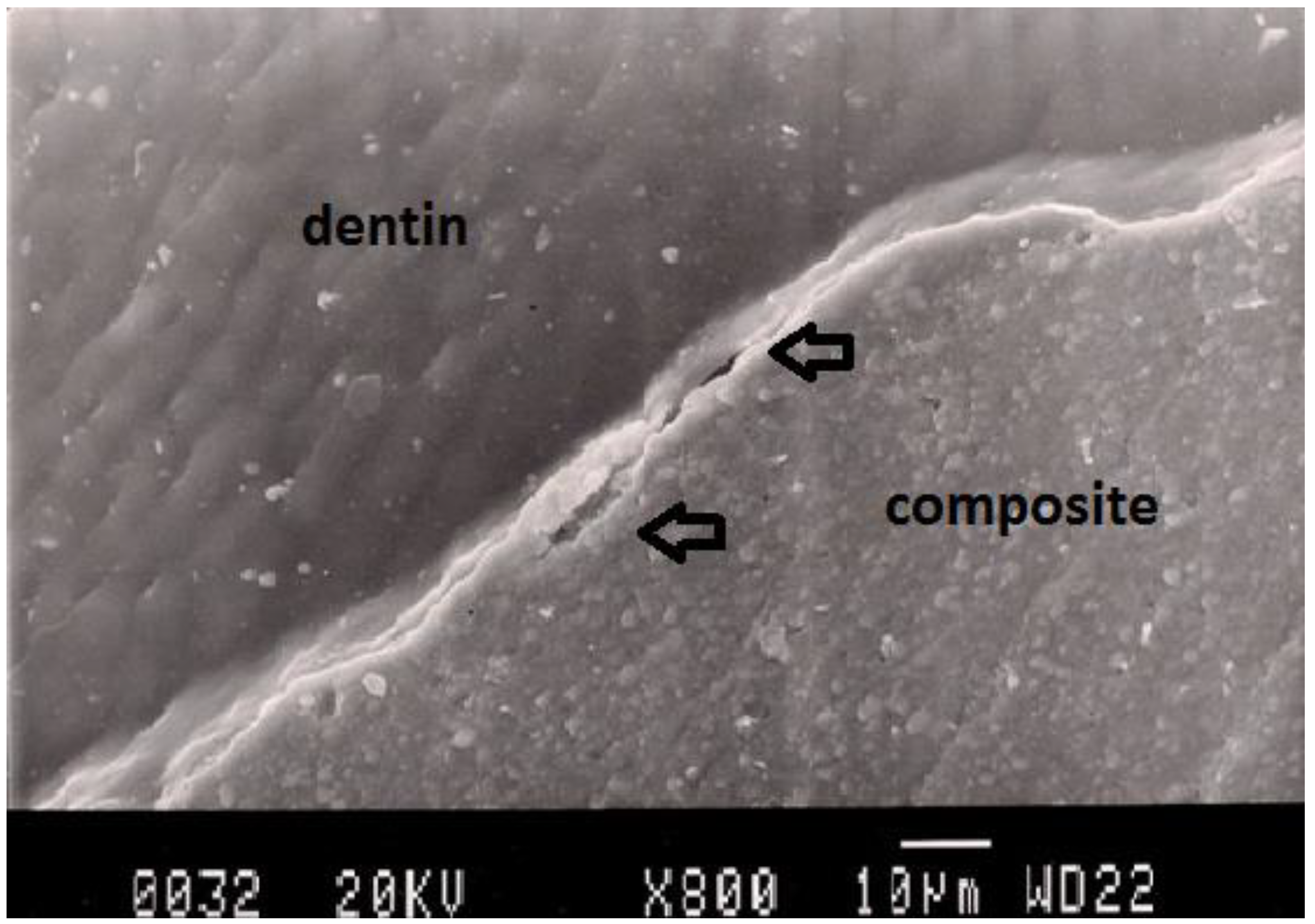 Dentistry 02 00052 g002