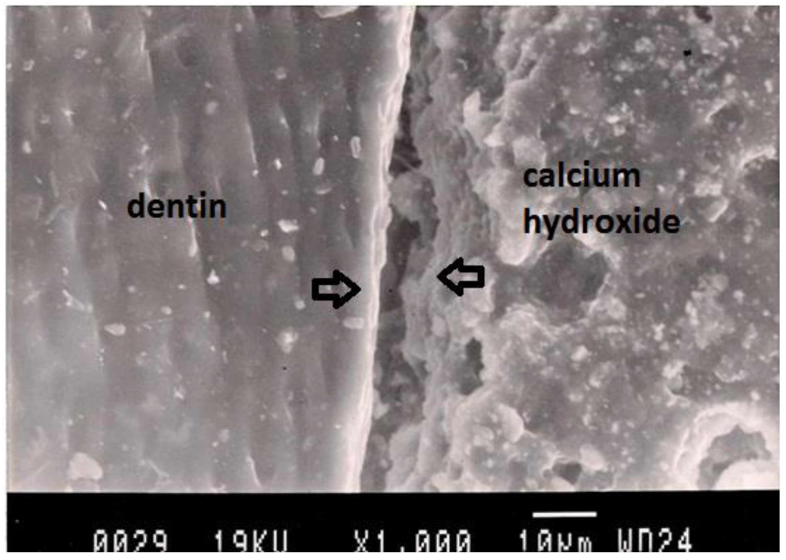 Dentistry 02 00052 g003