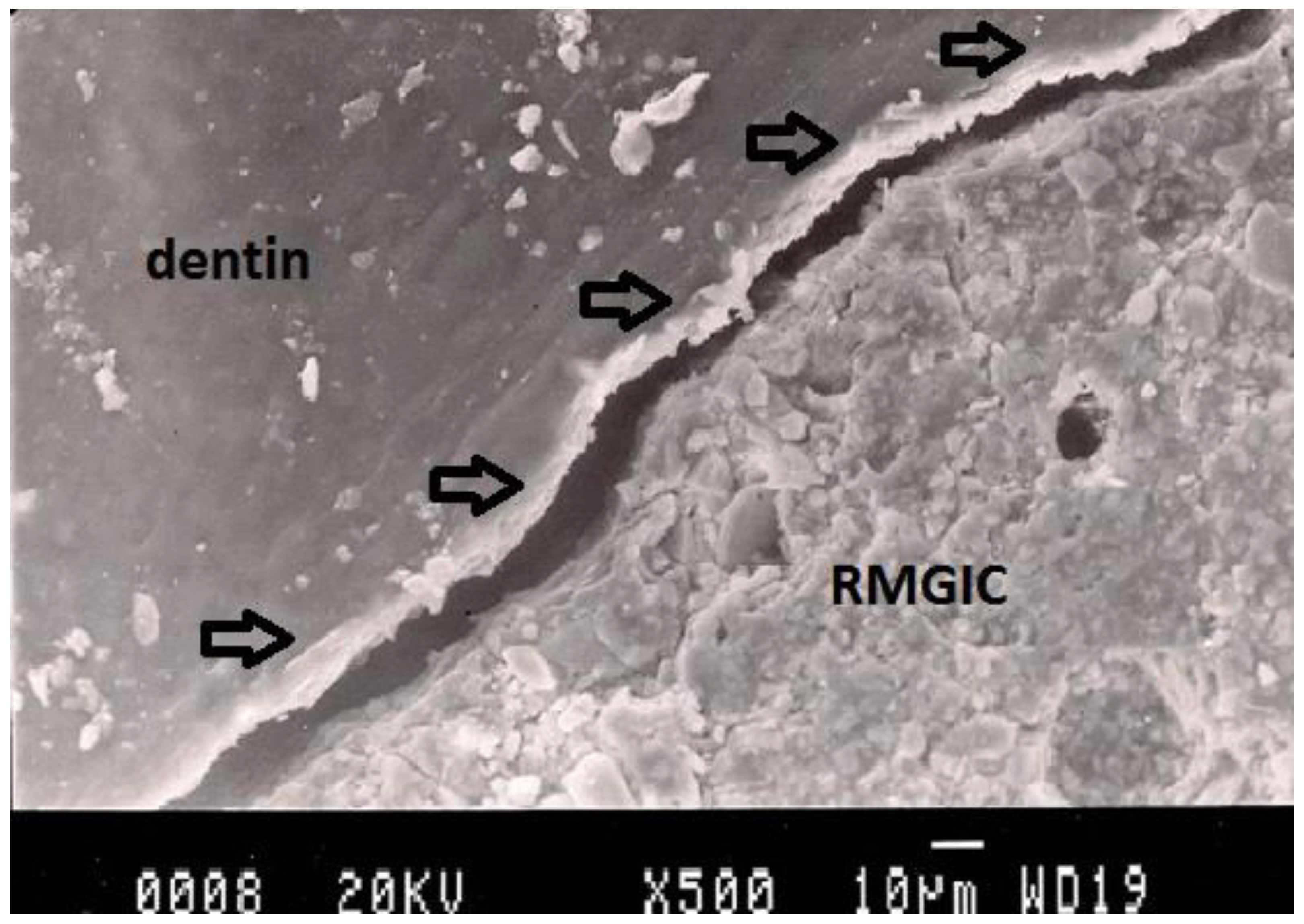 Dentistry 02 00052 g005