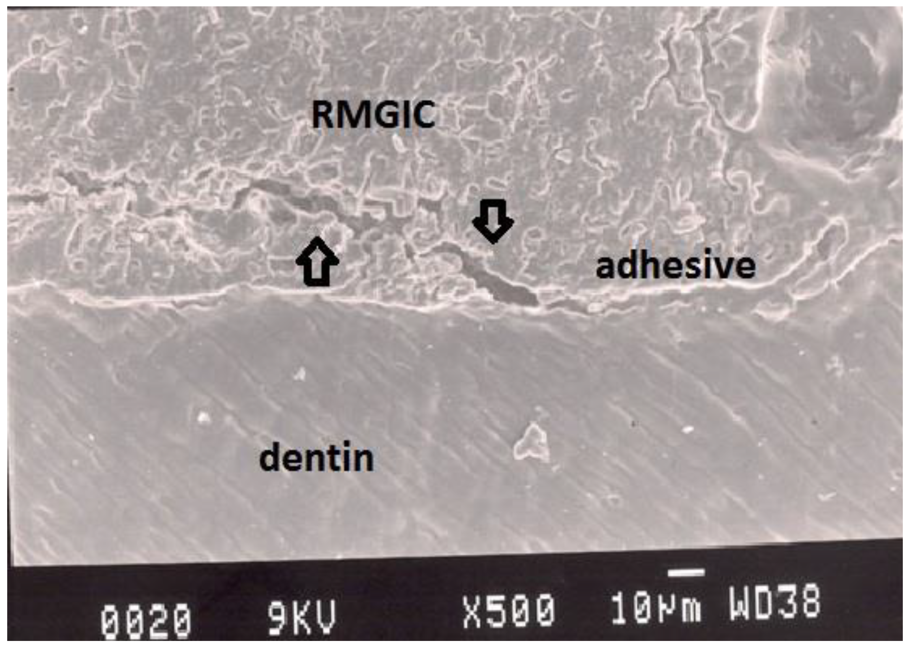 Dentistry 02 00052 g006