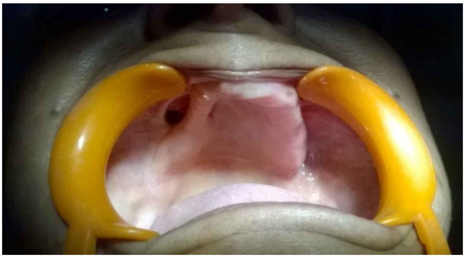 Dentistry 02 00142 g001