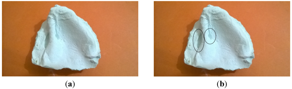 Dentistry 02 00142 g003 1024