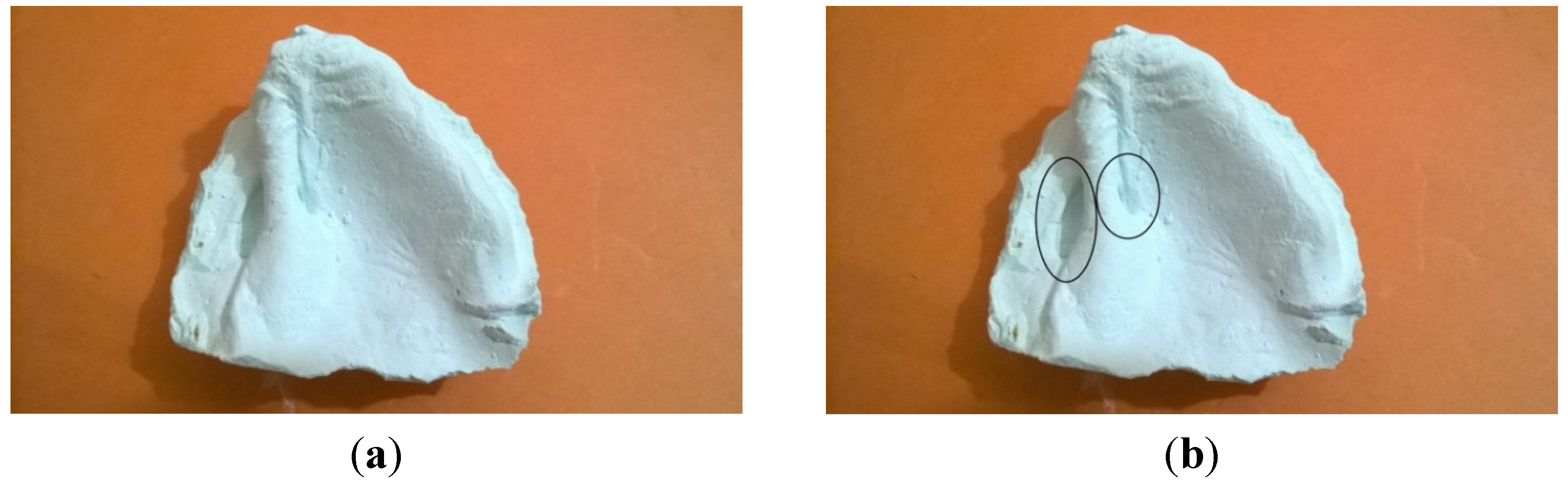 Dentistry 02 00142 g003