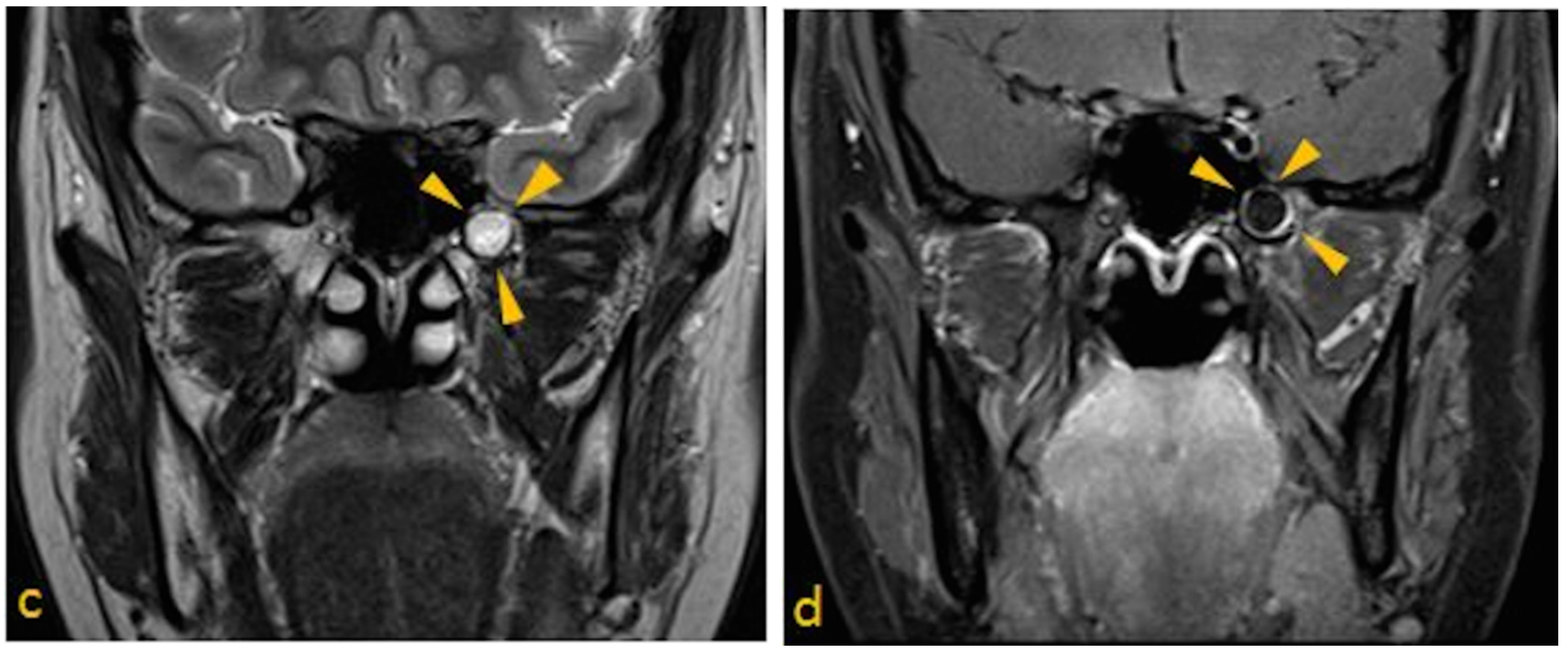 Dentistry 03 00067 g002b