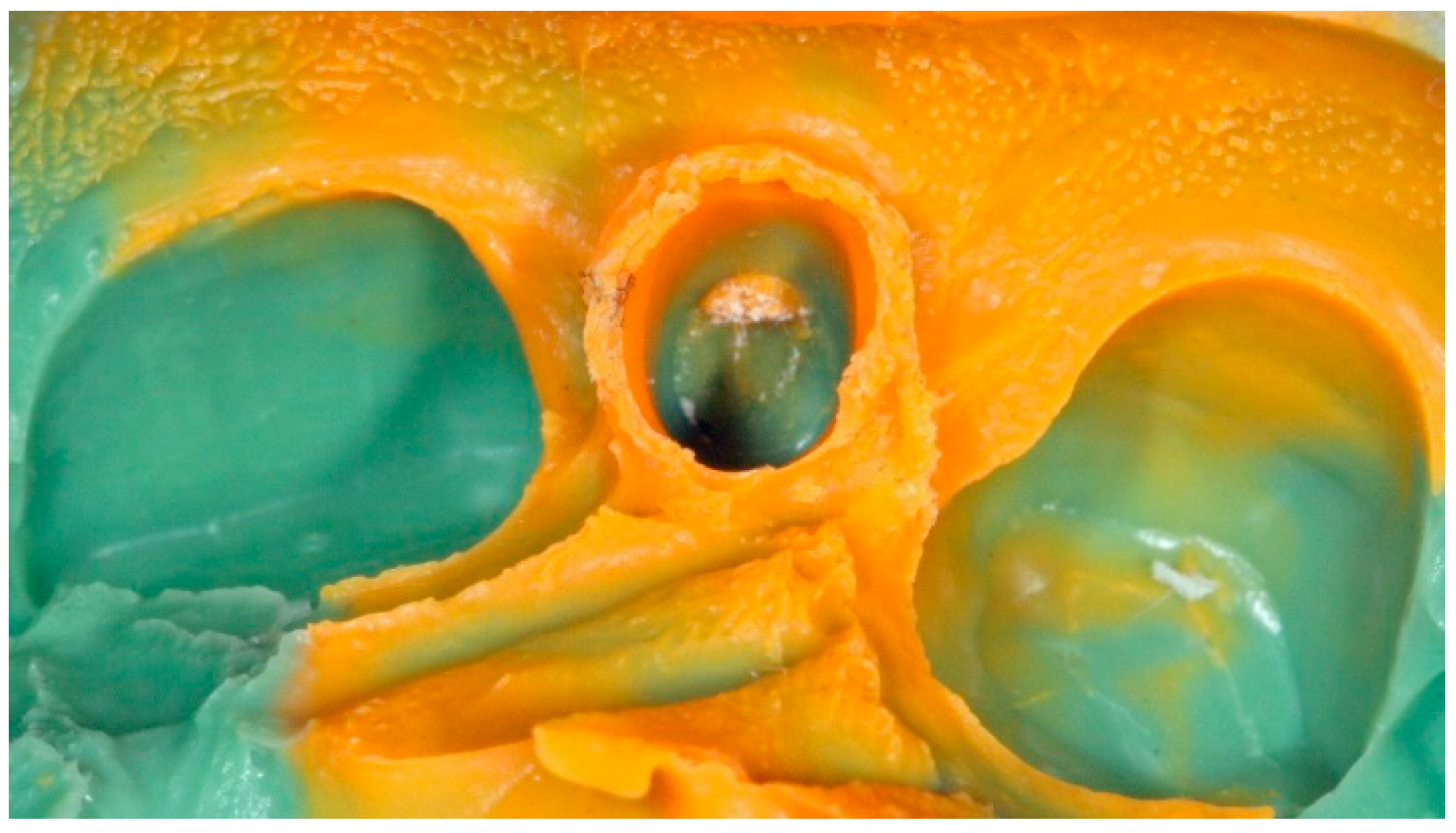 Dentistry 04 00014 g009