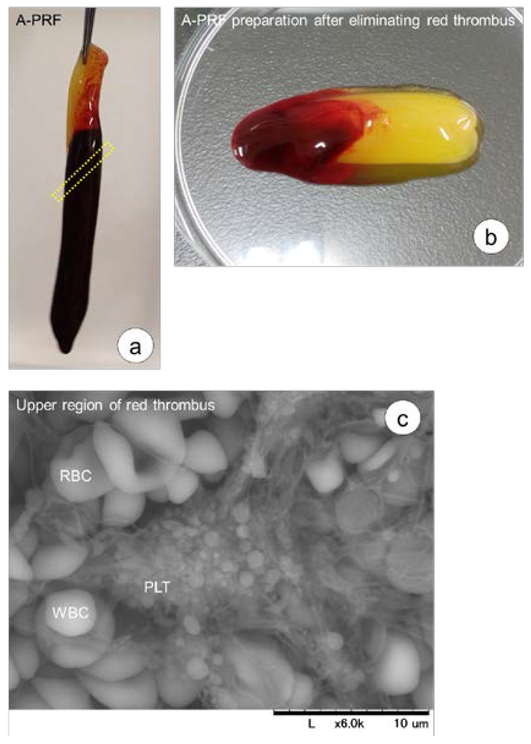 Dentistry 05 00007 g004