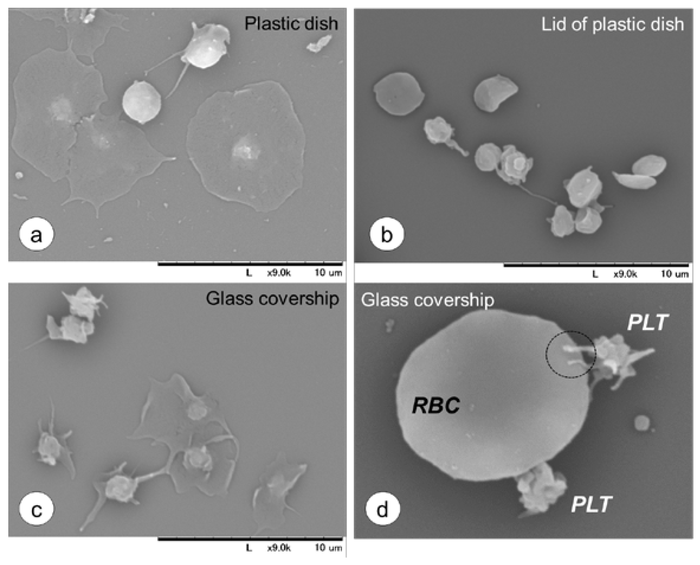 Dentistry 05 00007 g006