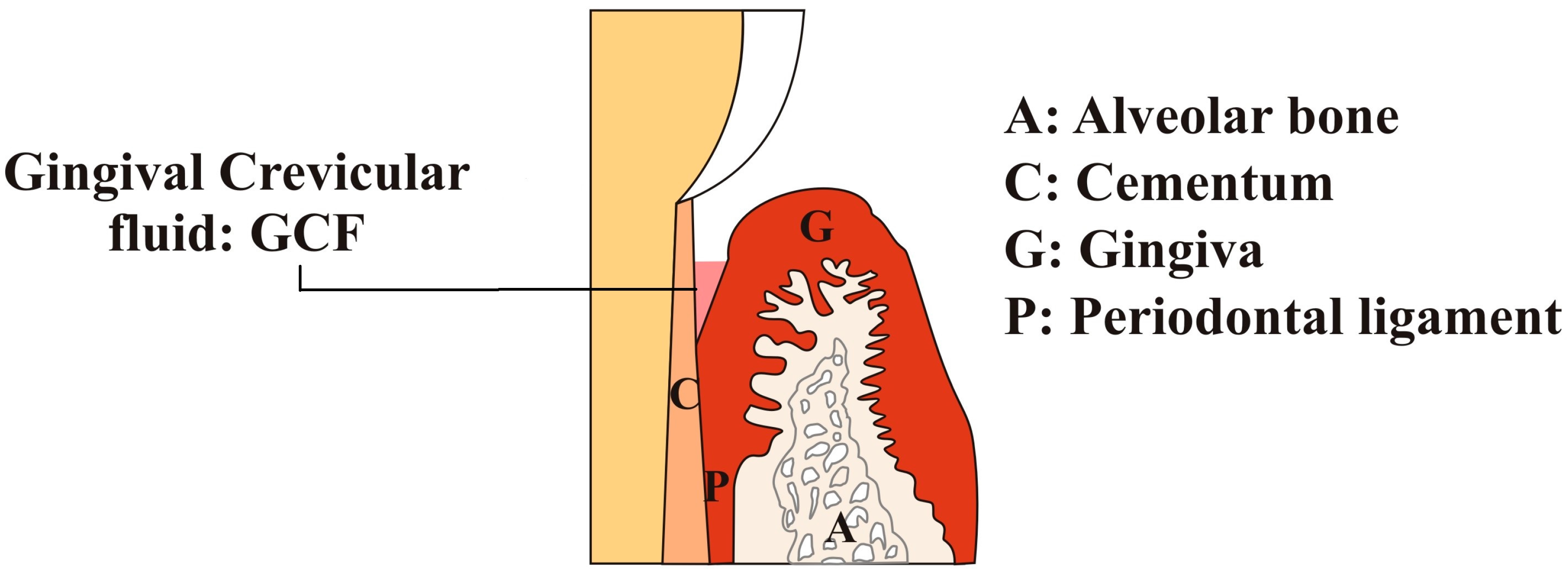 Dentistry 05 00012 g001