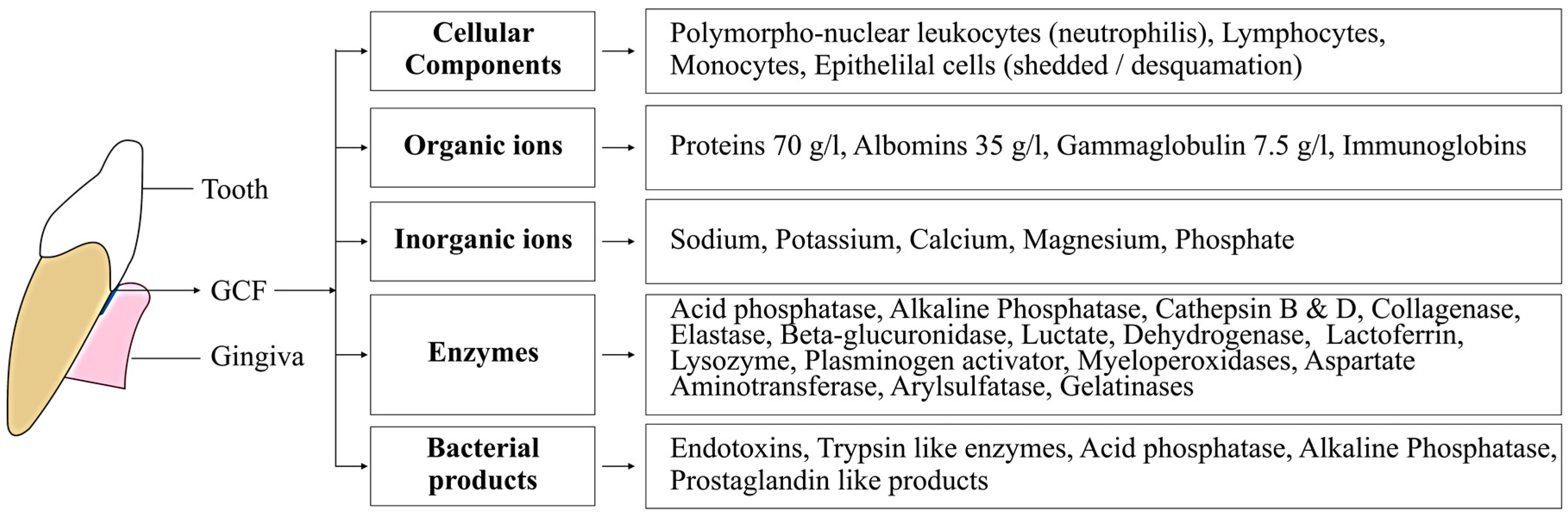 Dentistry 05 00012 g002
