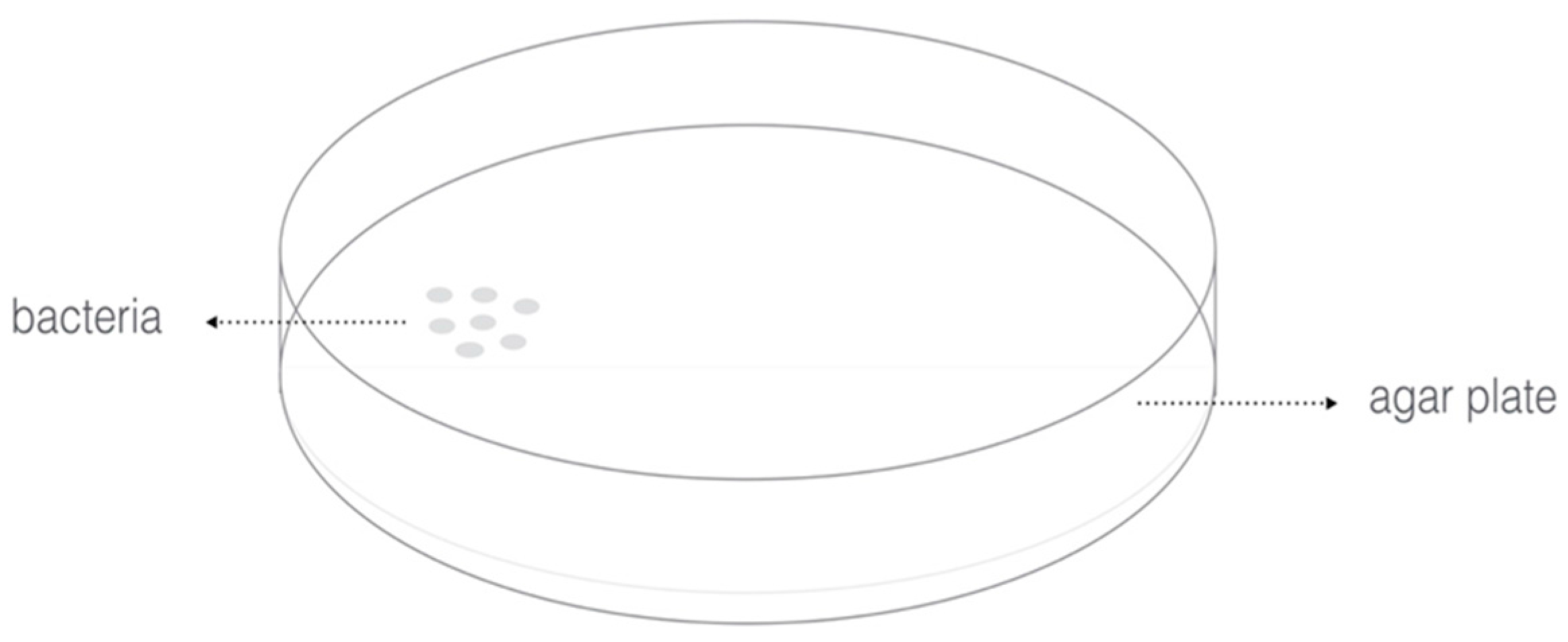 Dentistry 05 00021 g002