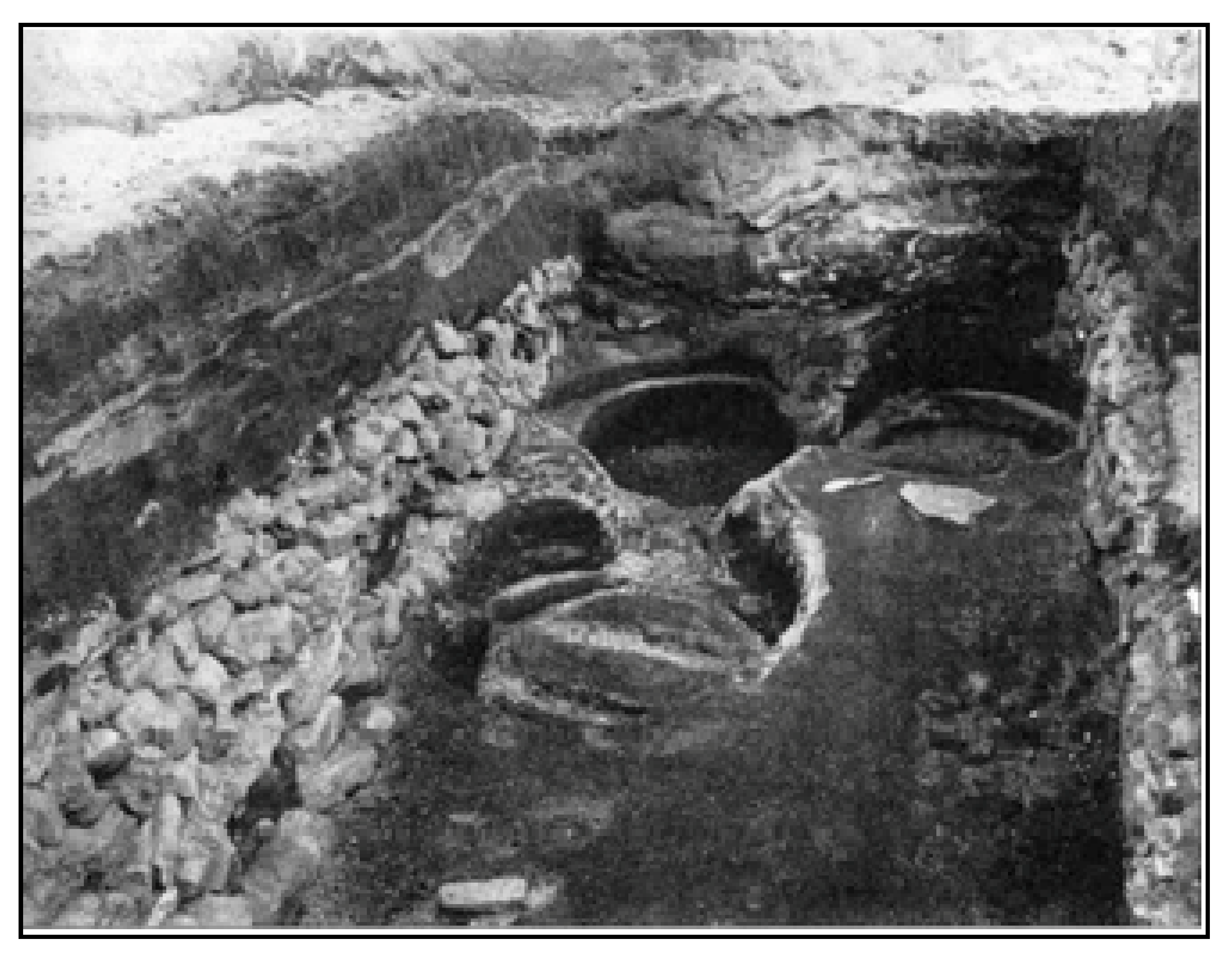 Dentistry 05 00024 g010