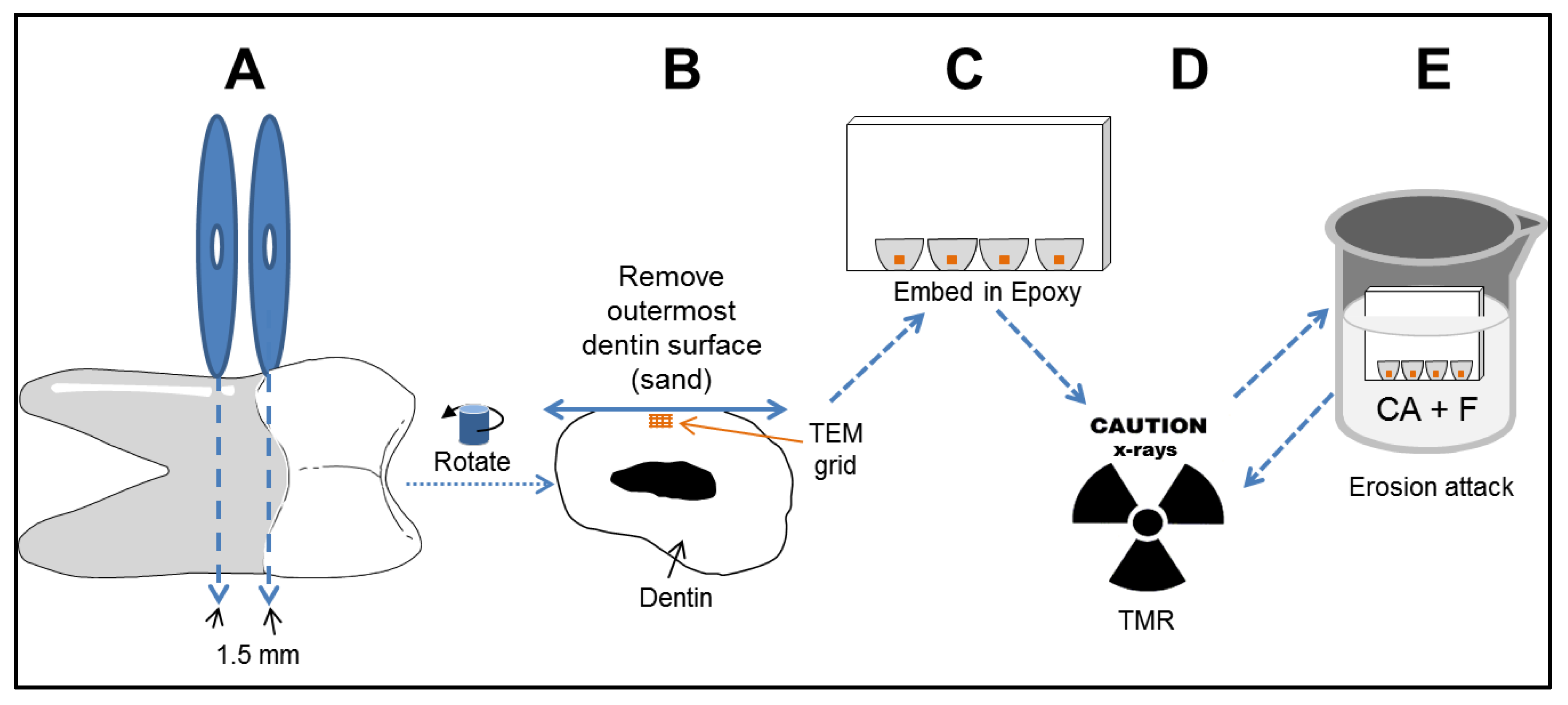 Dentistry 05 00027 g001