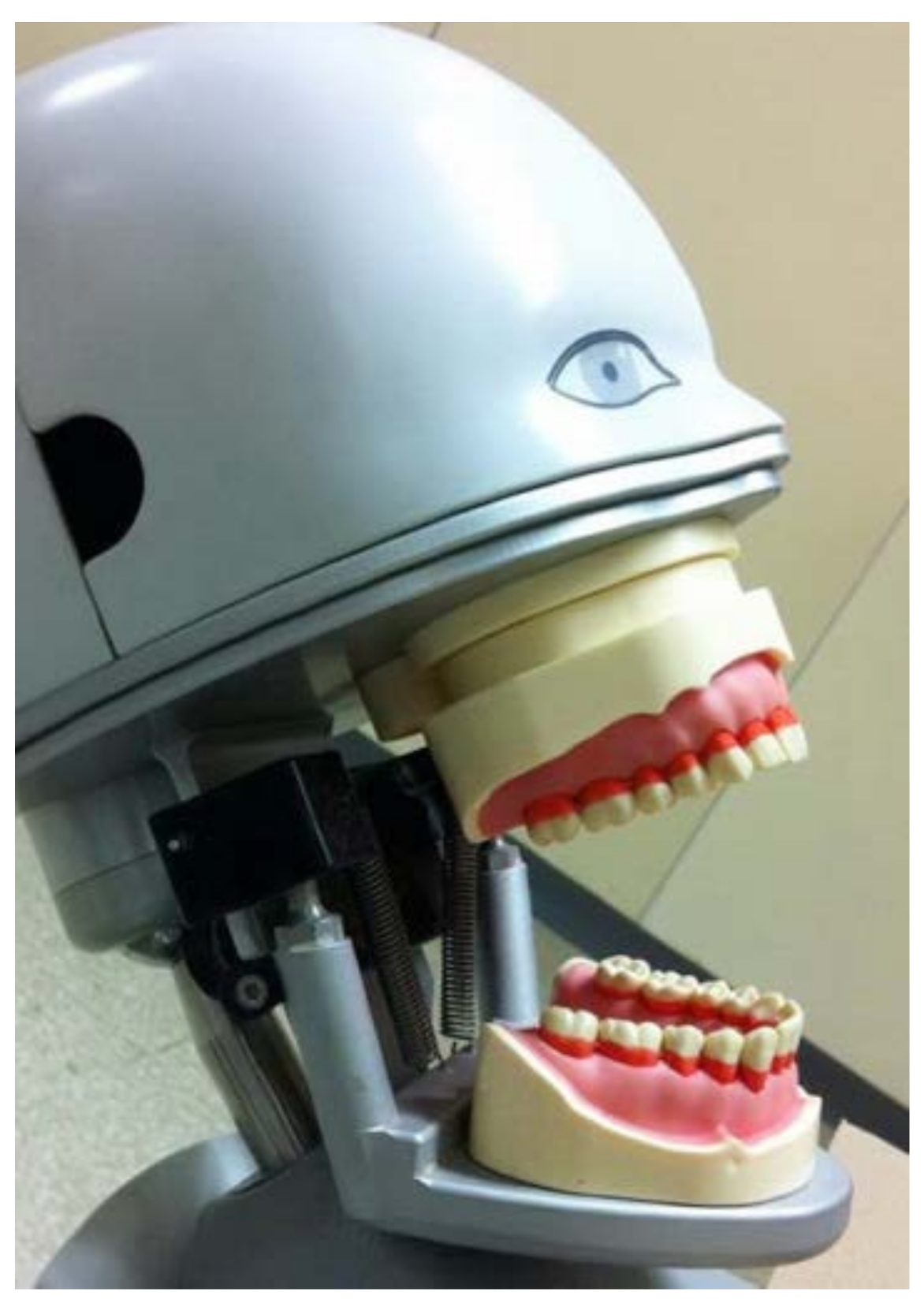 Dentistry 06 00008 g002 Dentistry 06 00008 g002