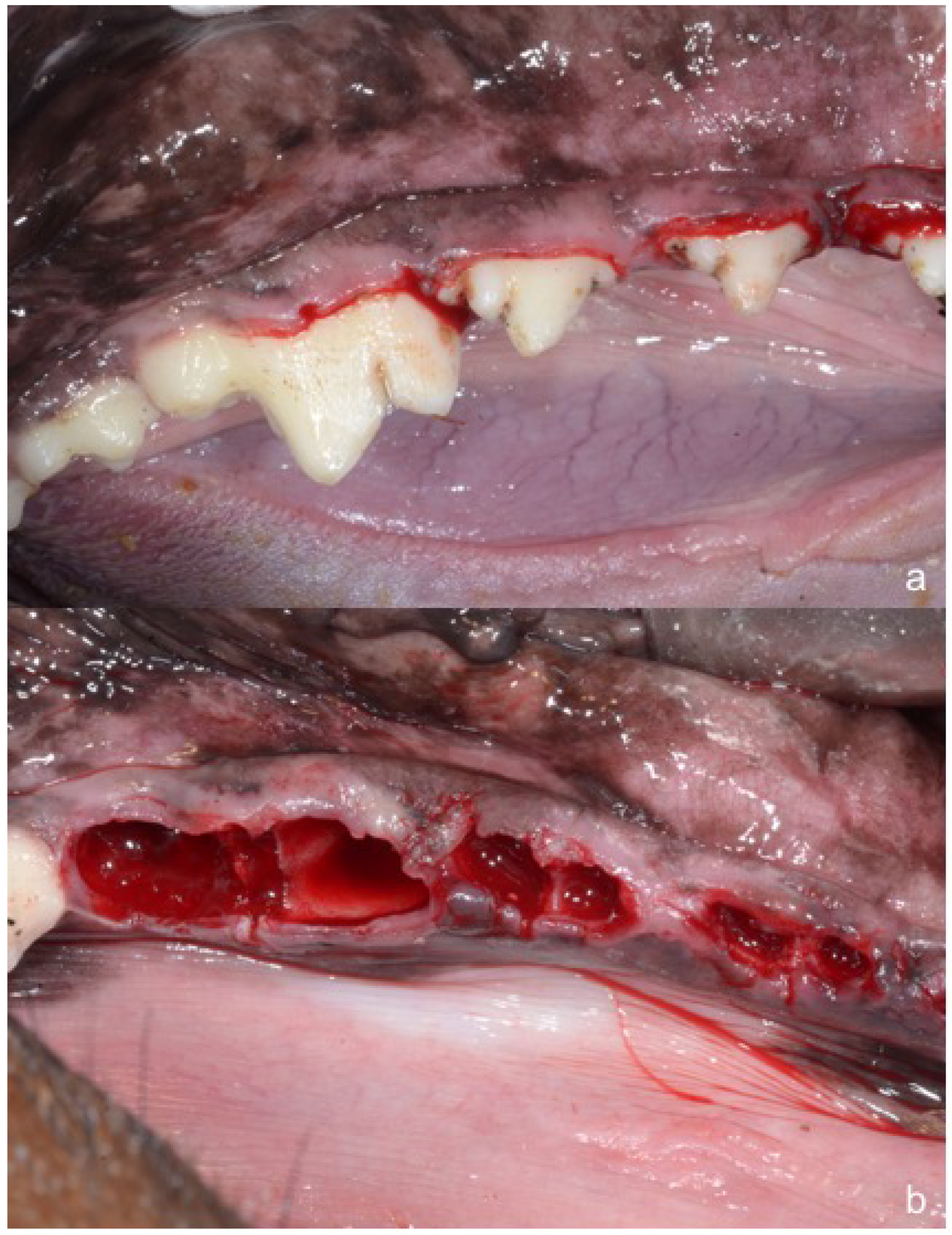 Dentistry 06 00012 g001