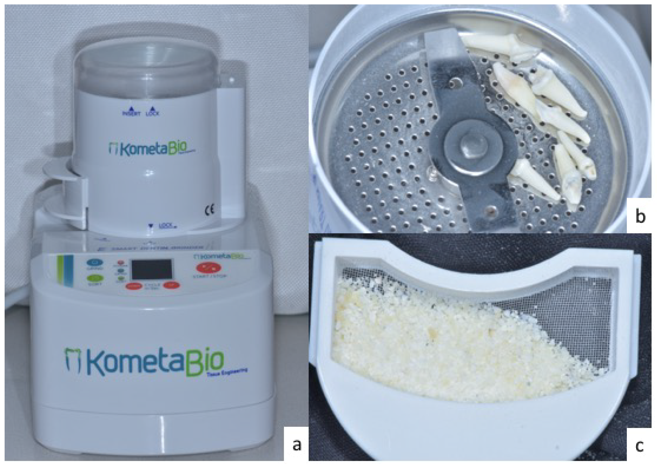 Dentistry 06 00012 g002