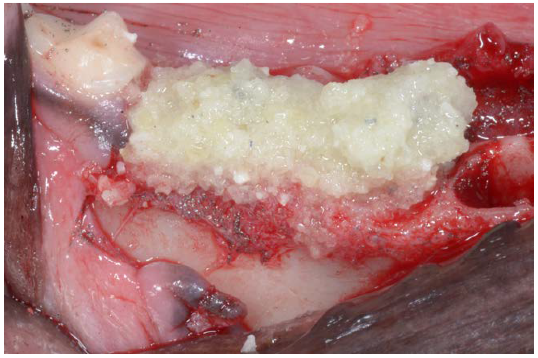 Dentistry 06 00012 g003