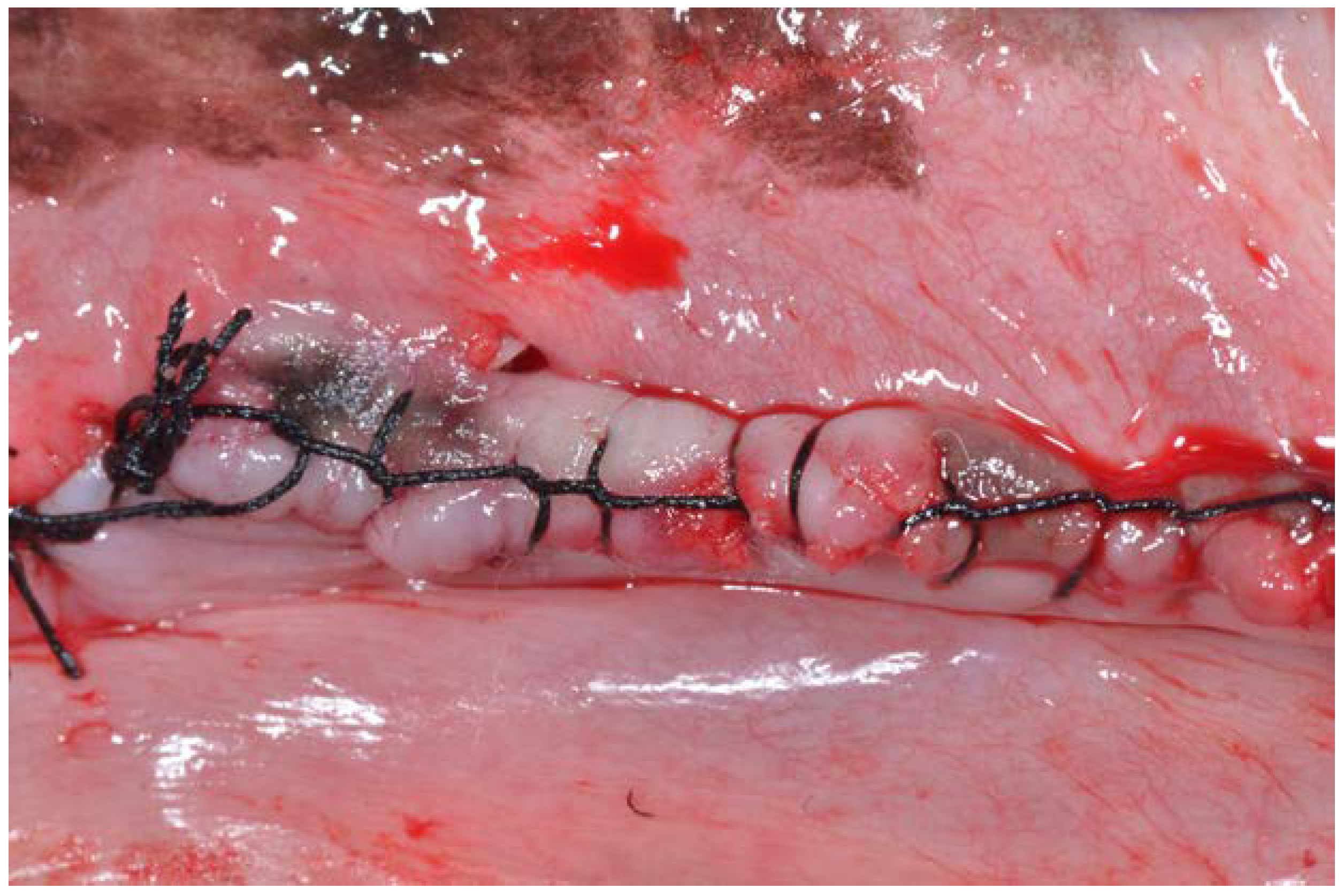 Dentistry 06 00012 g004