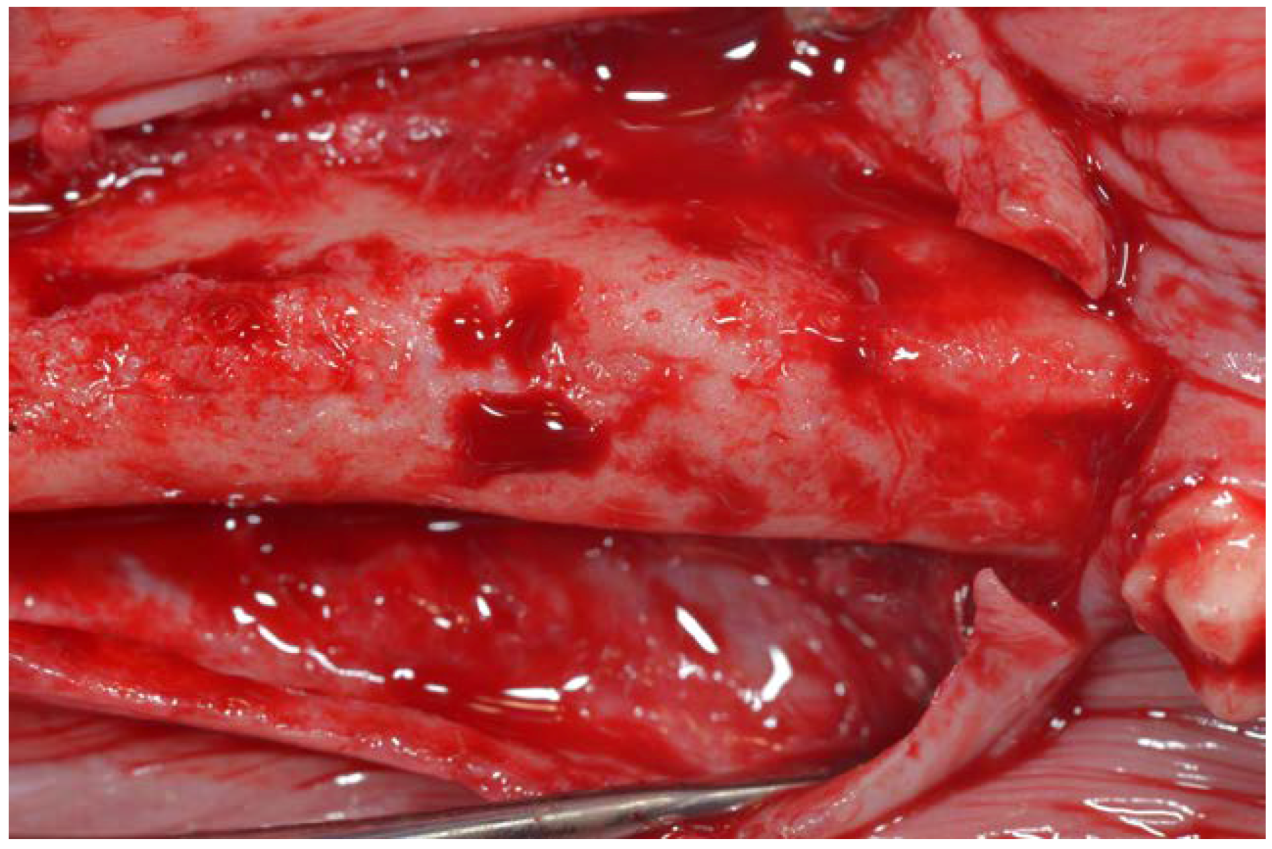 Dentistry 06 00012 g005