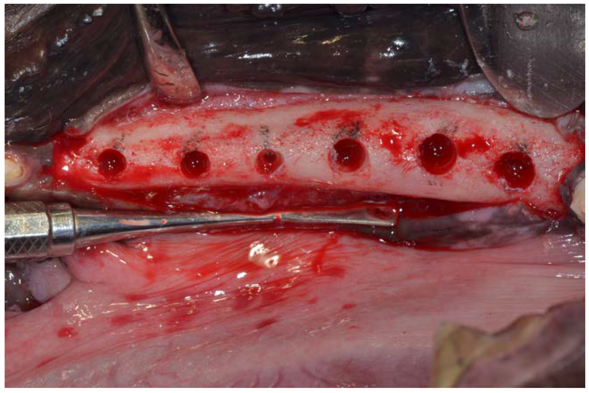 Dentistry 06 00012 g006