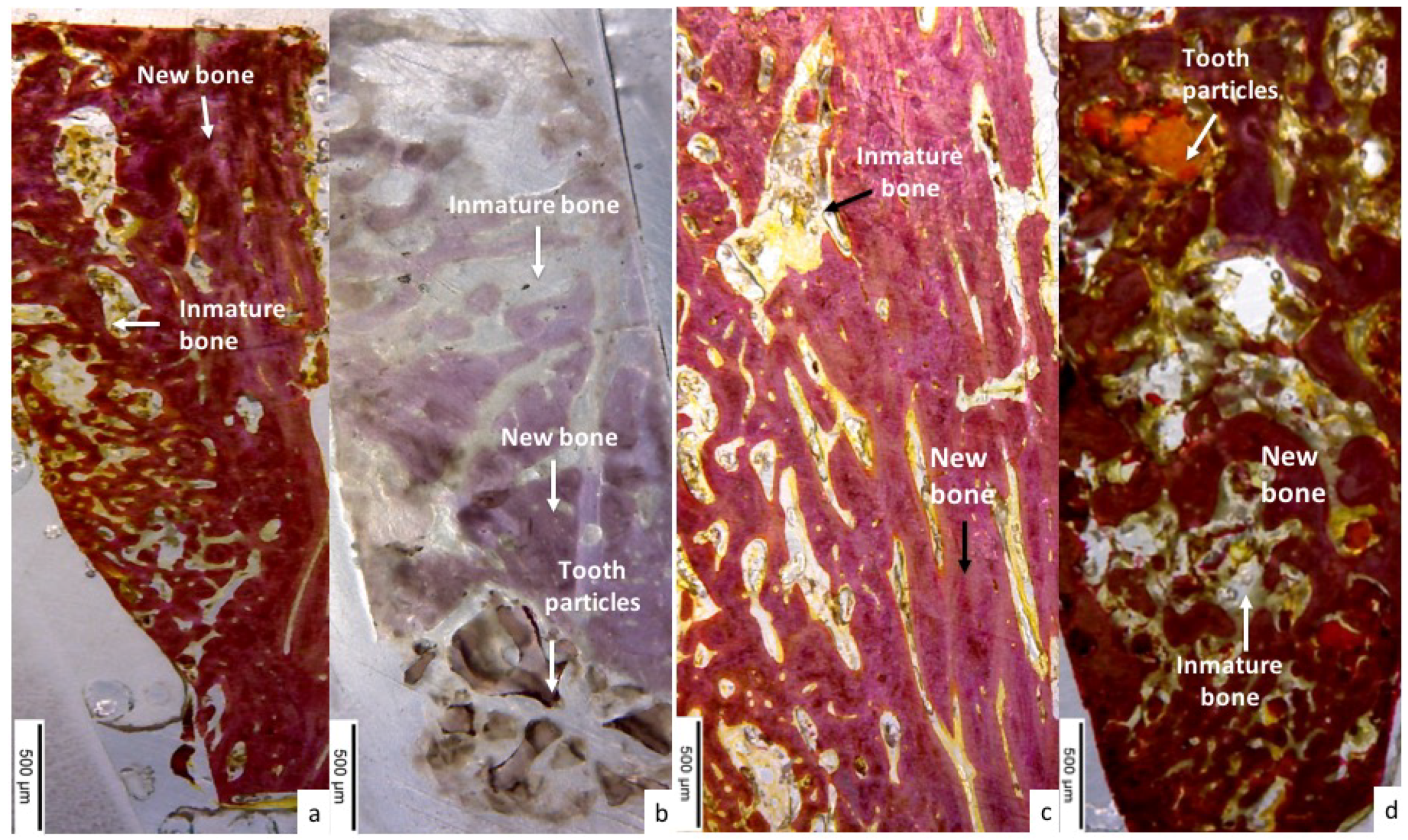 Dentistry 06 00012 g007