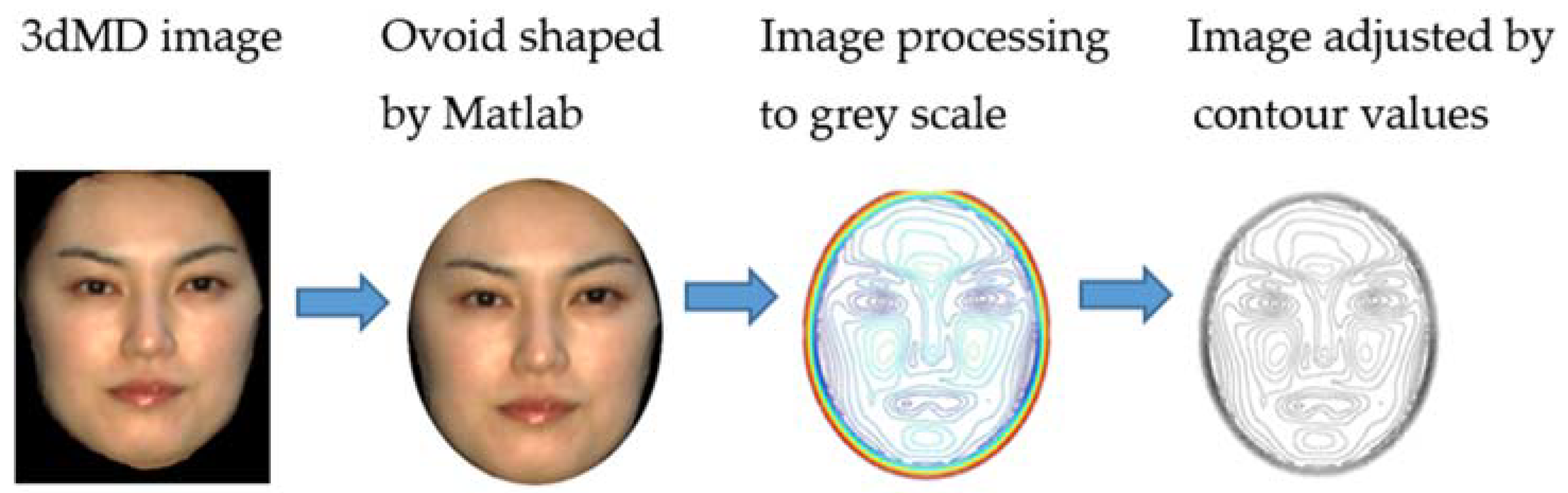 Dentistry 06 00016 g001