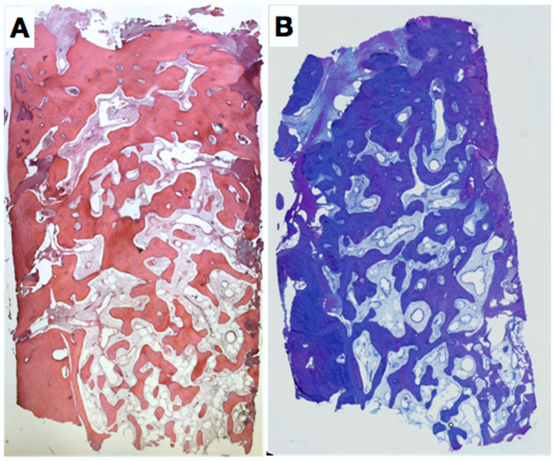Dentistry 06 00021 g007