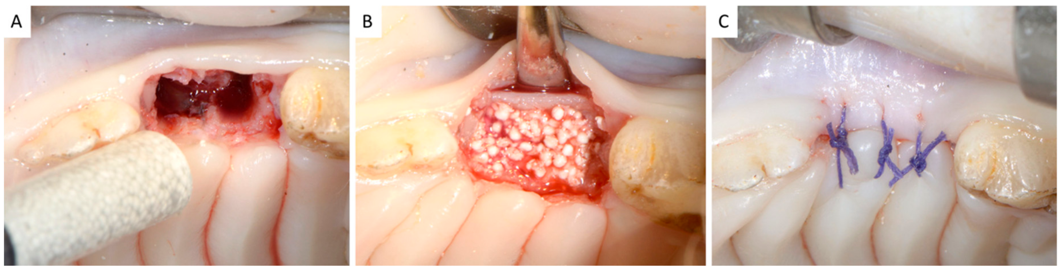 Dentistry 06 00027 g002