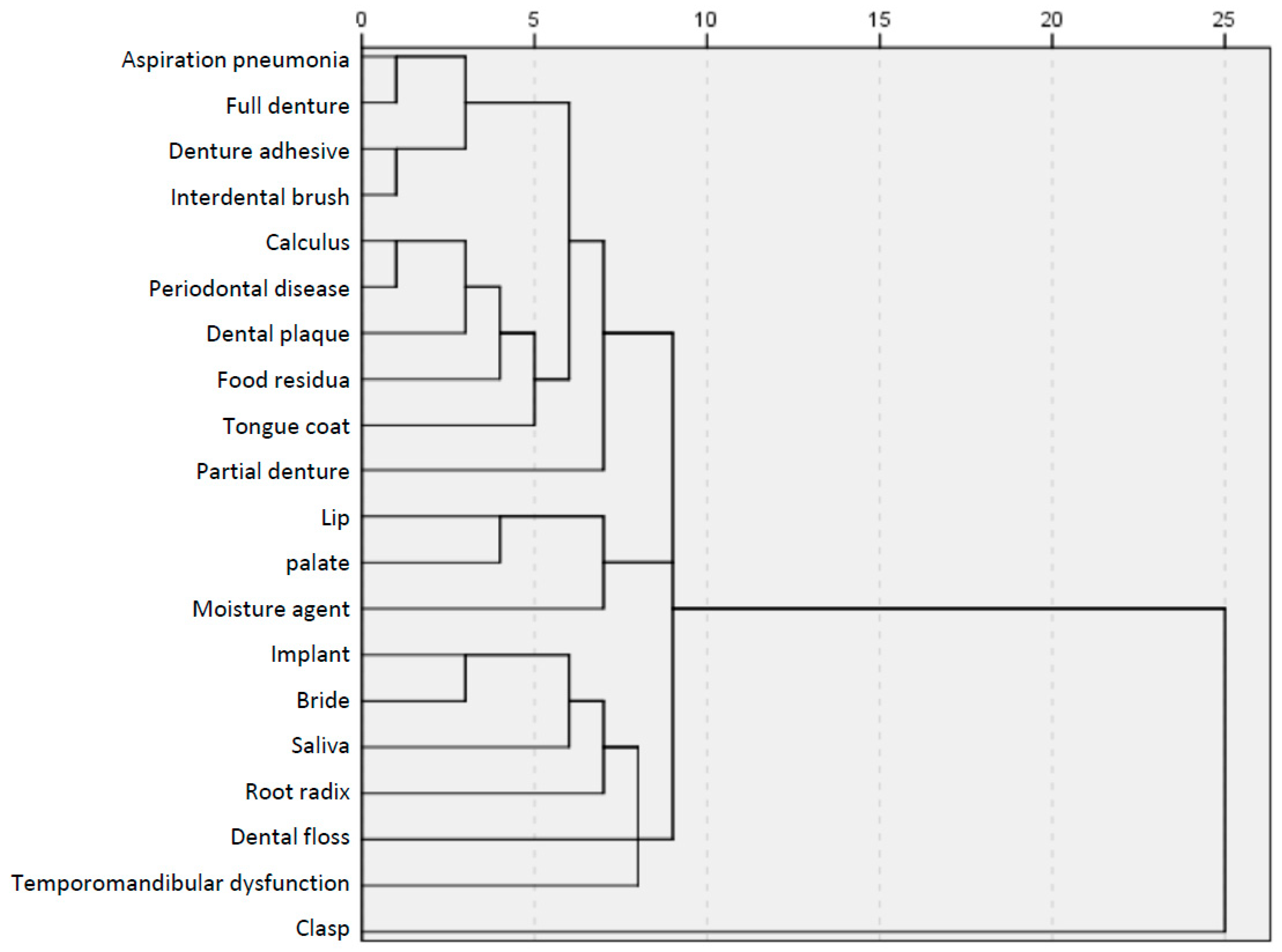 Dentistry 06 00028 g003