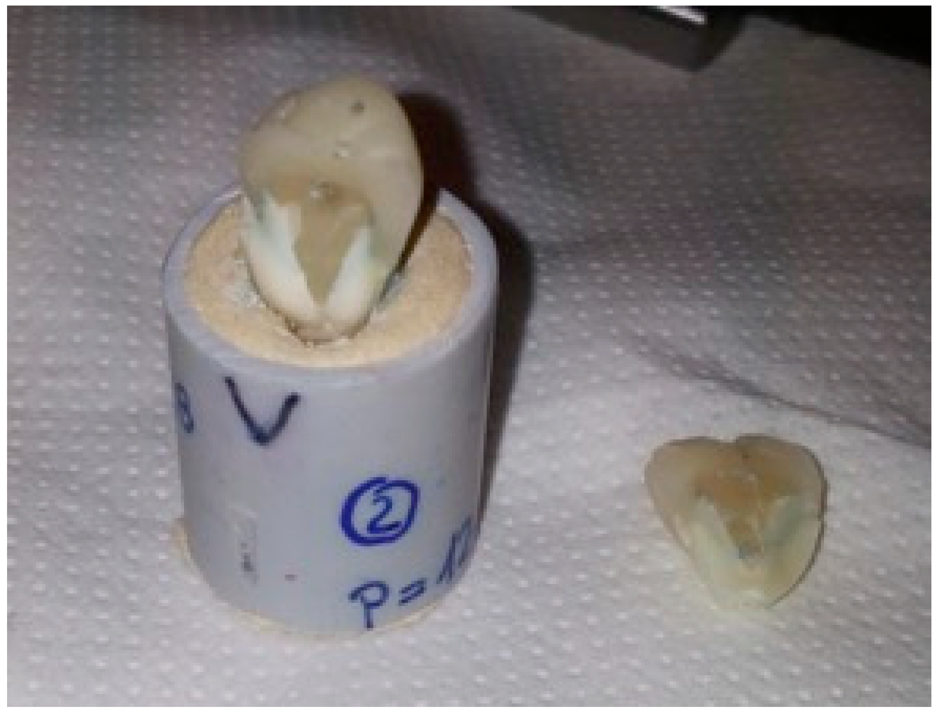 Dentistry 06 00035 g004