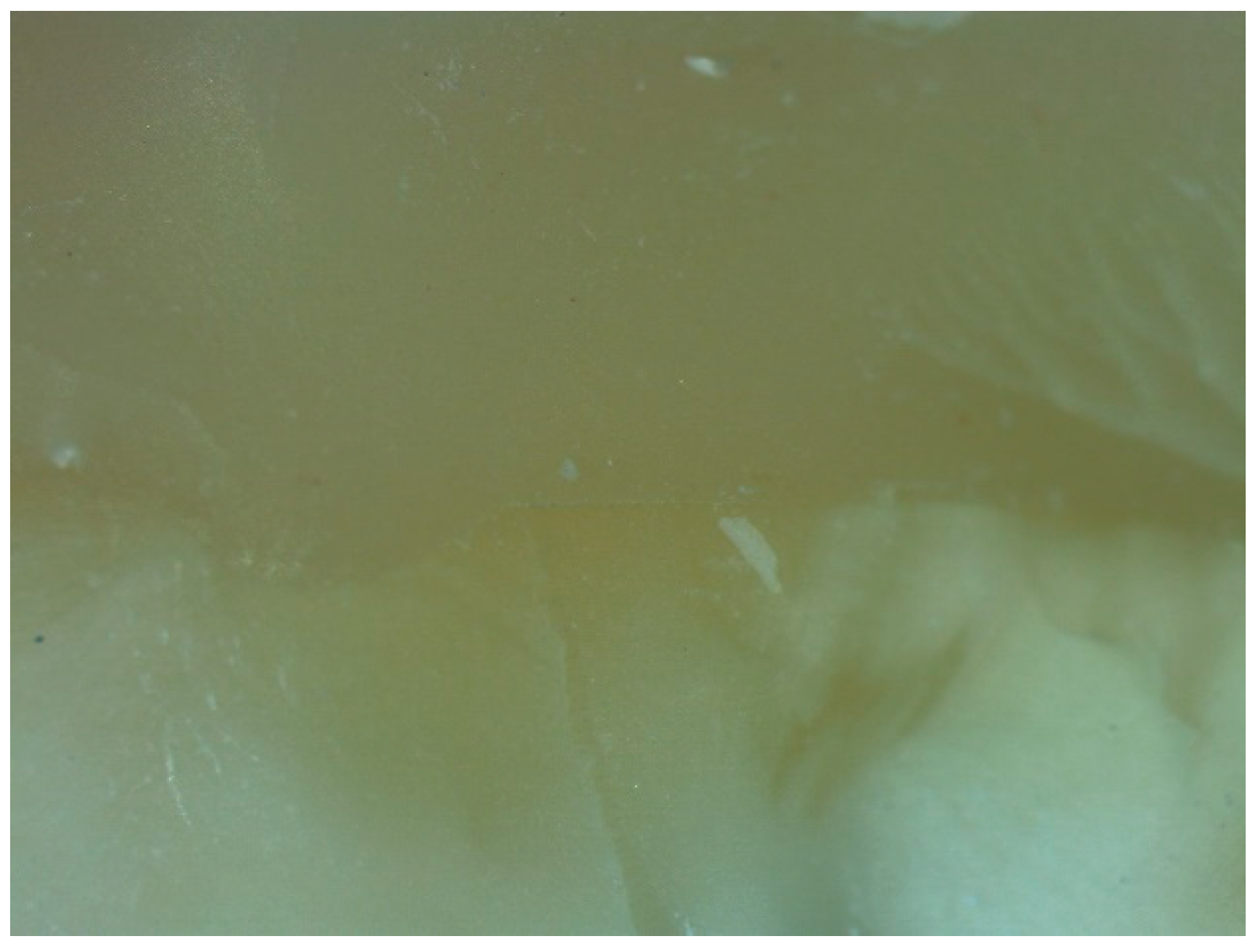 Dentistry 06 00035 g005