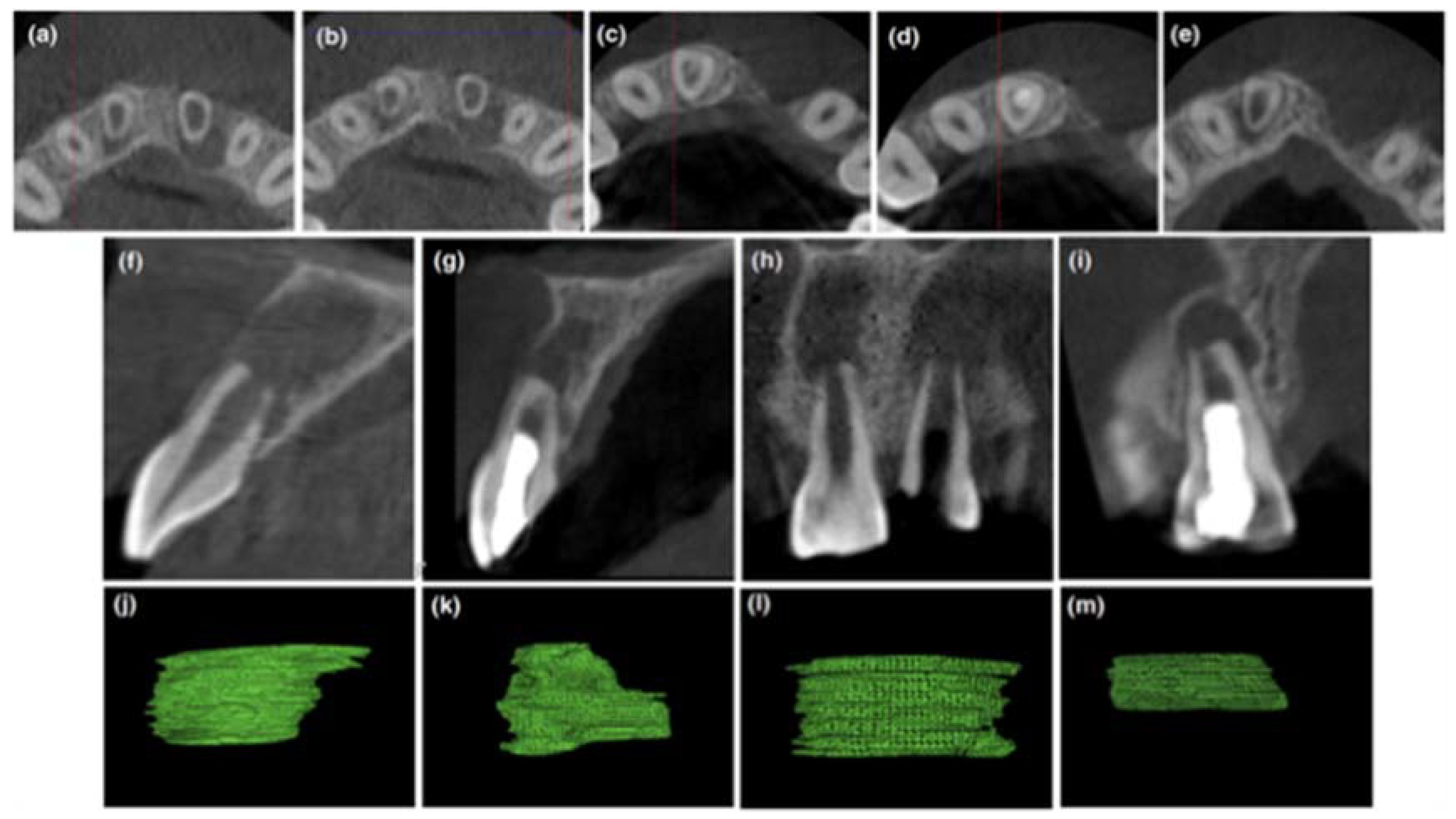 Dentistry 06 00036 g002