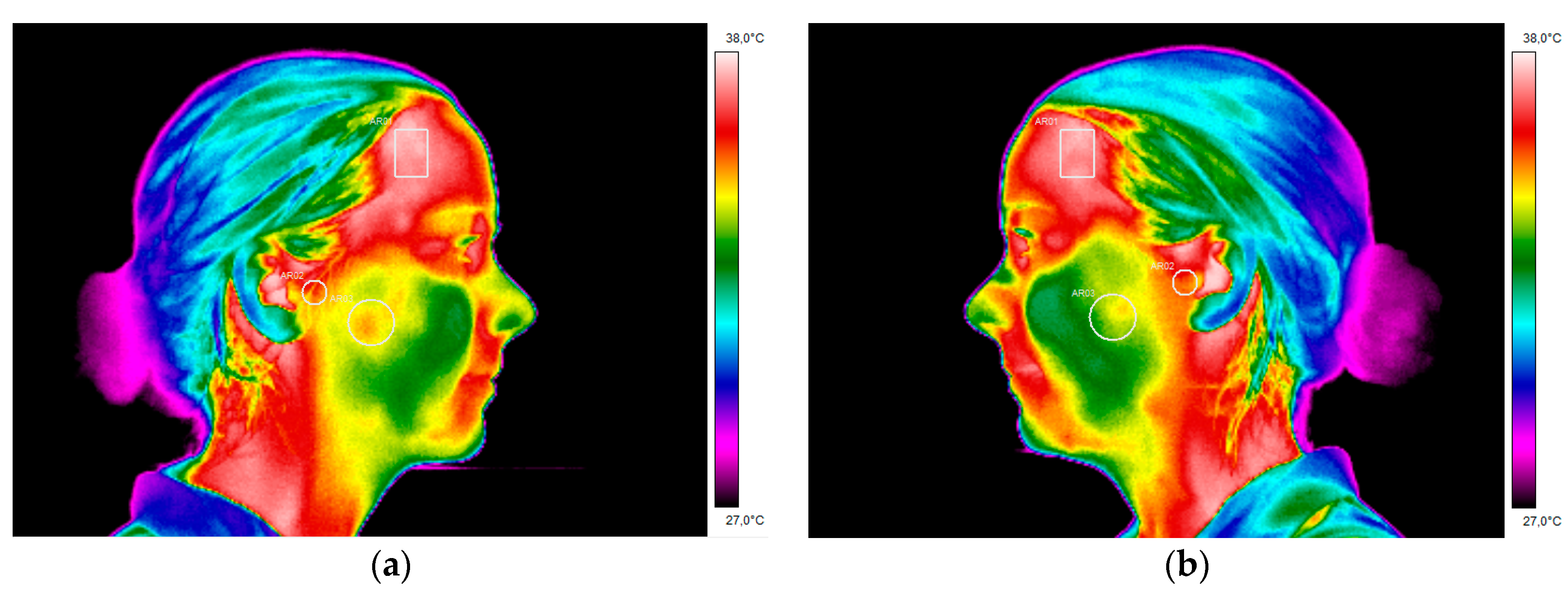 Dentistry 06 00041 g009