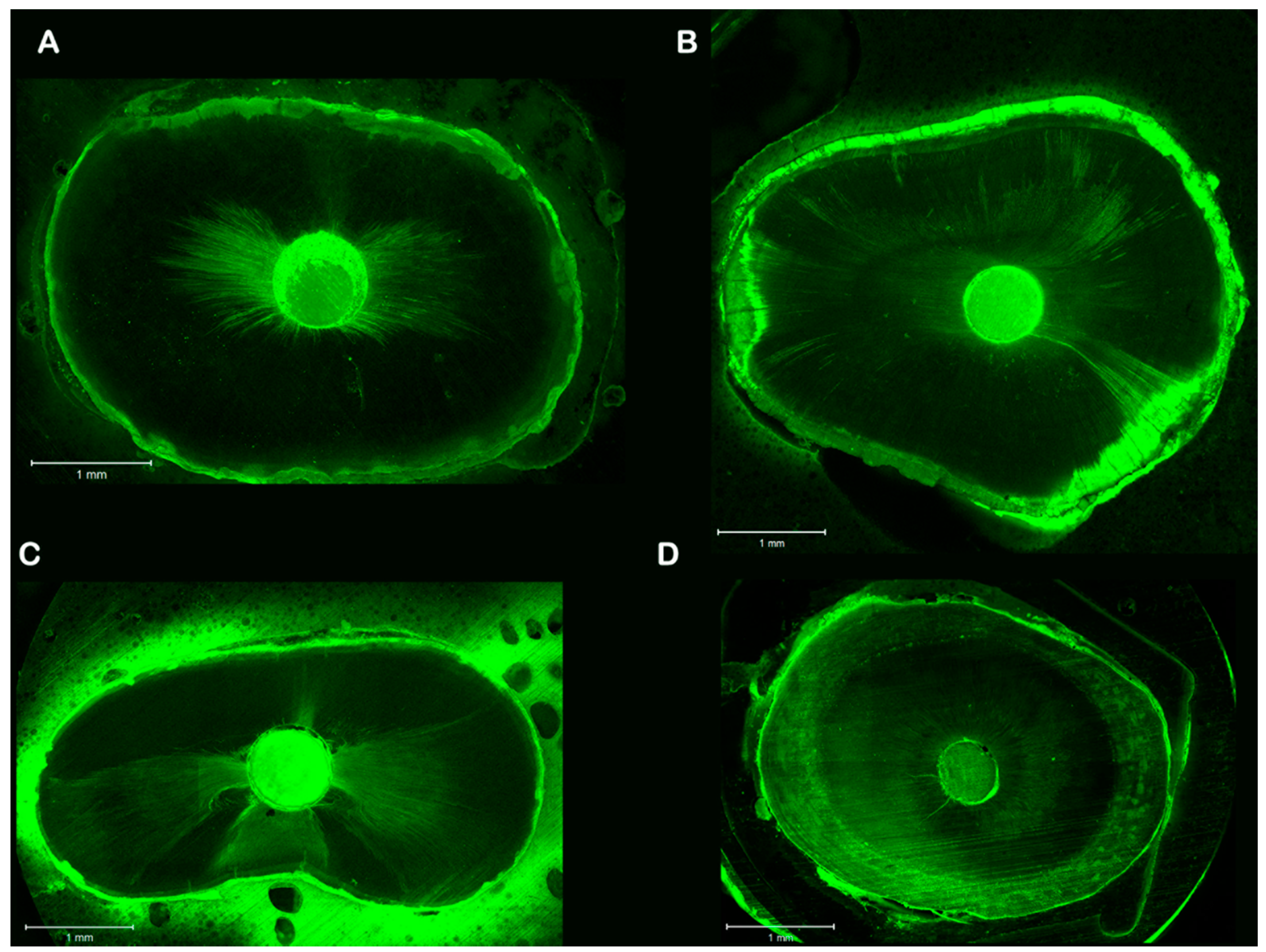 Dentistry 06 00045 g001