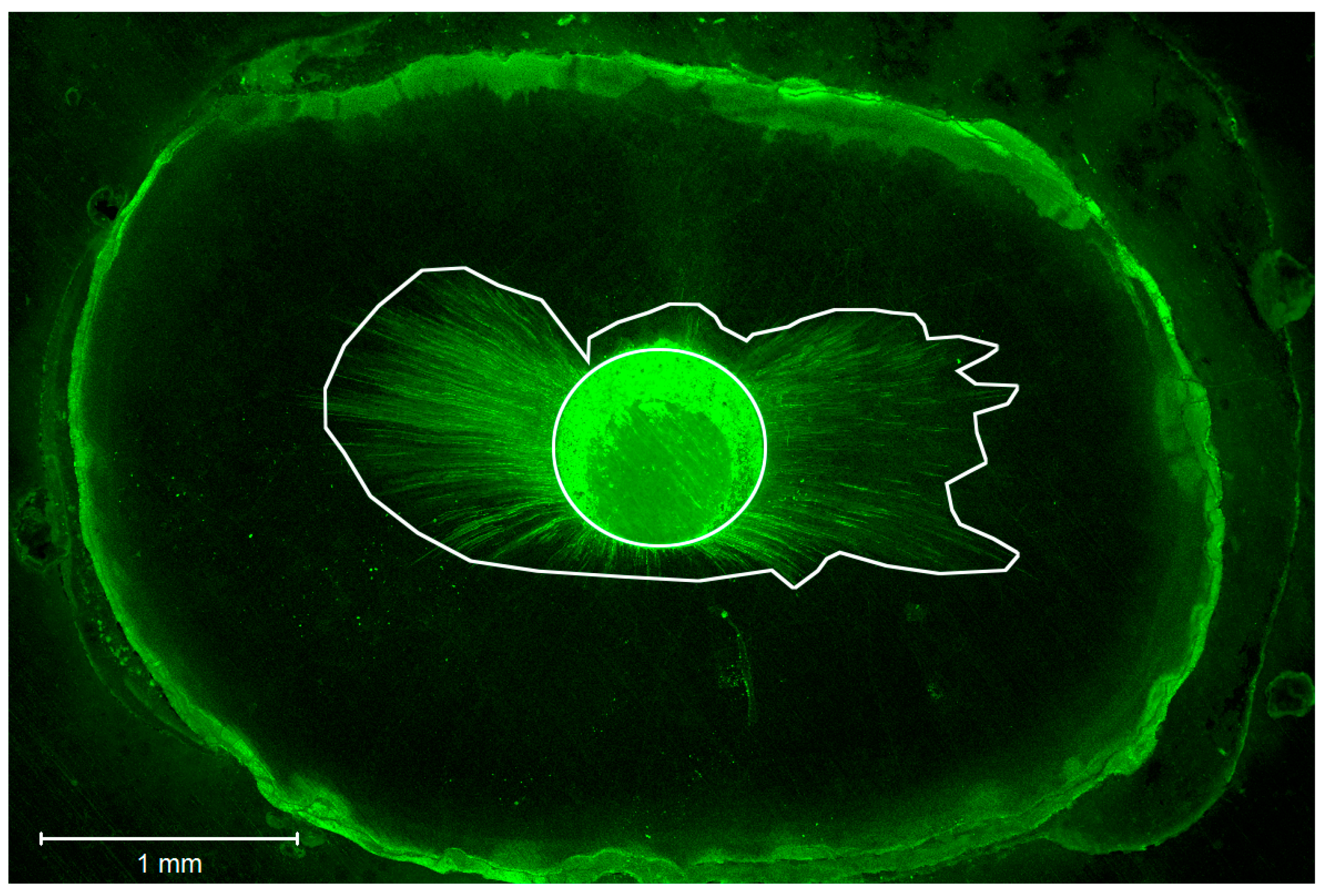 Dentistry 06 00045 g002