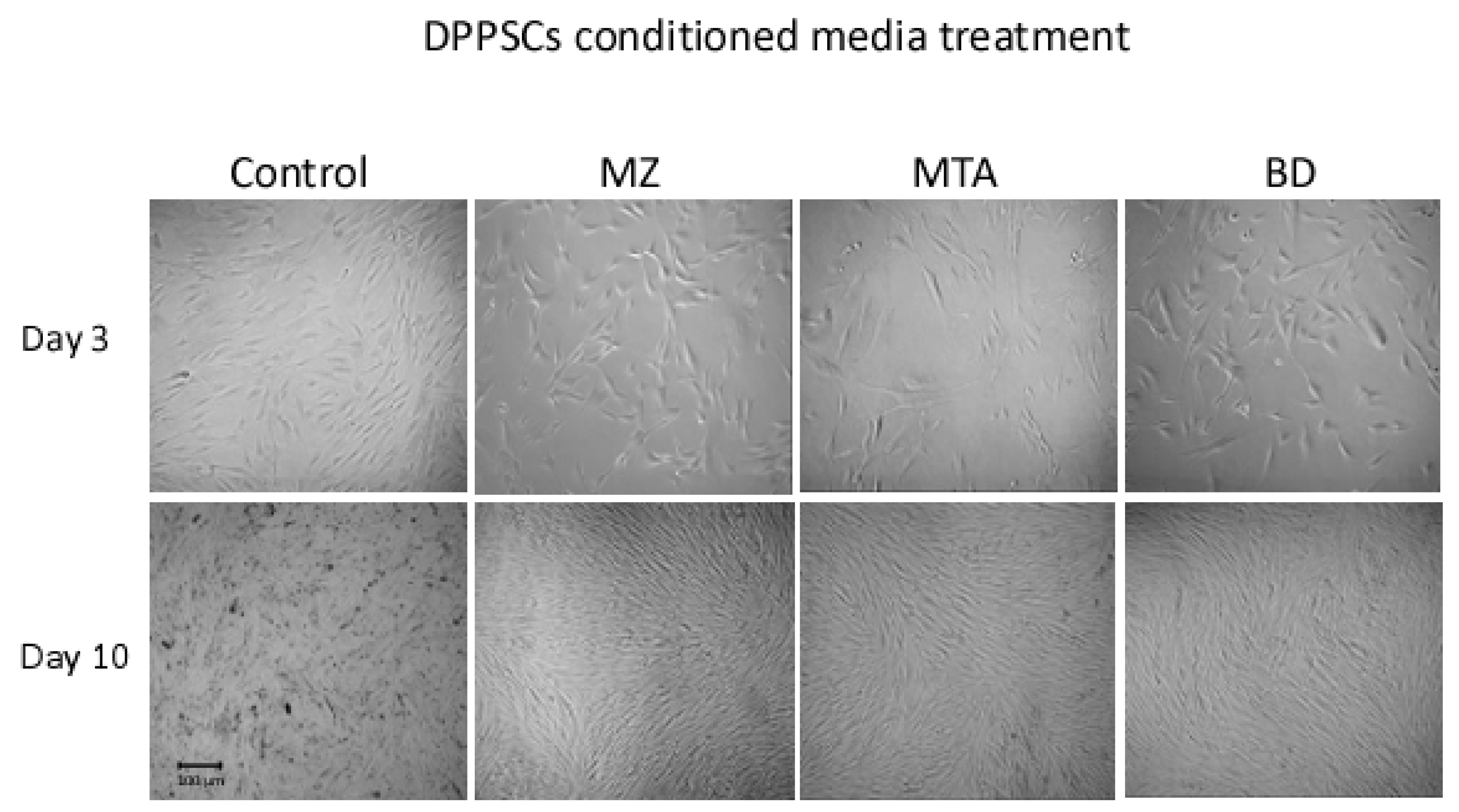 Dentistry 06 00048 g001 Dentistry 06 00048 g001