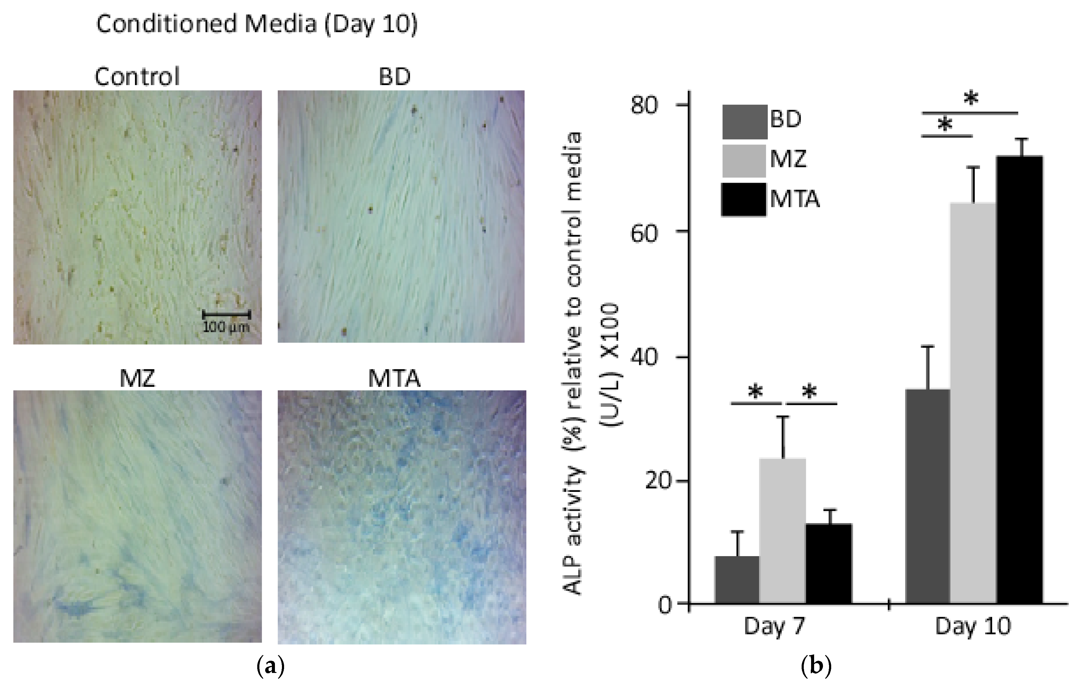 Dentistry 06 00048 g003 Dentistry 06 00048 g003