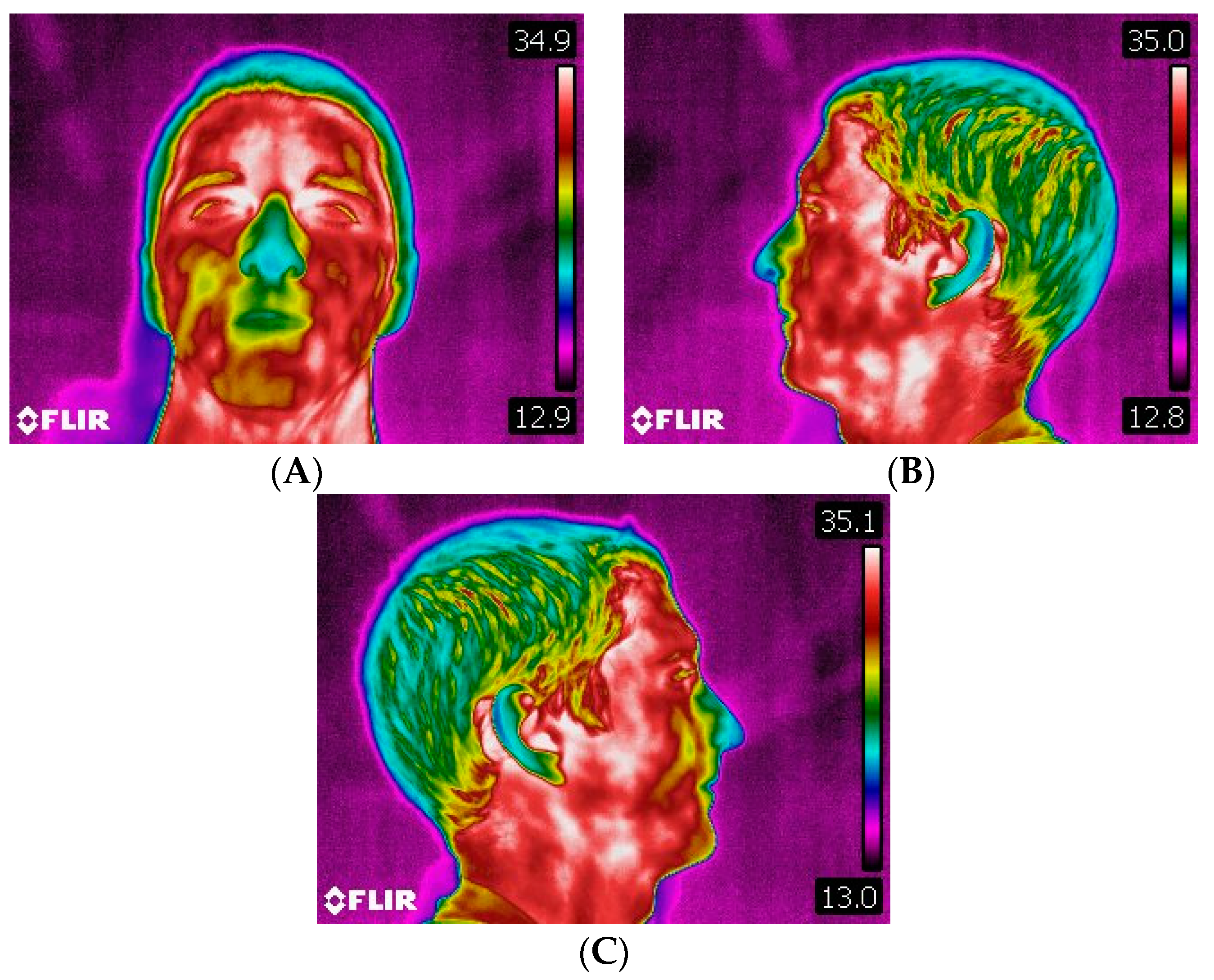 Dentistry 06 00063 g007