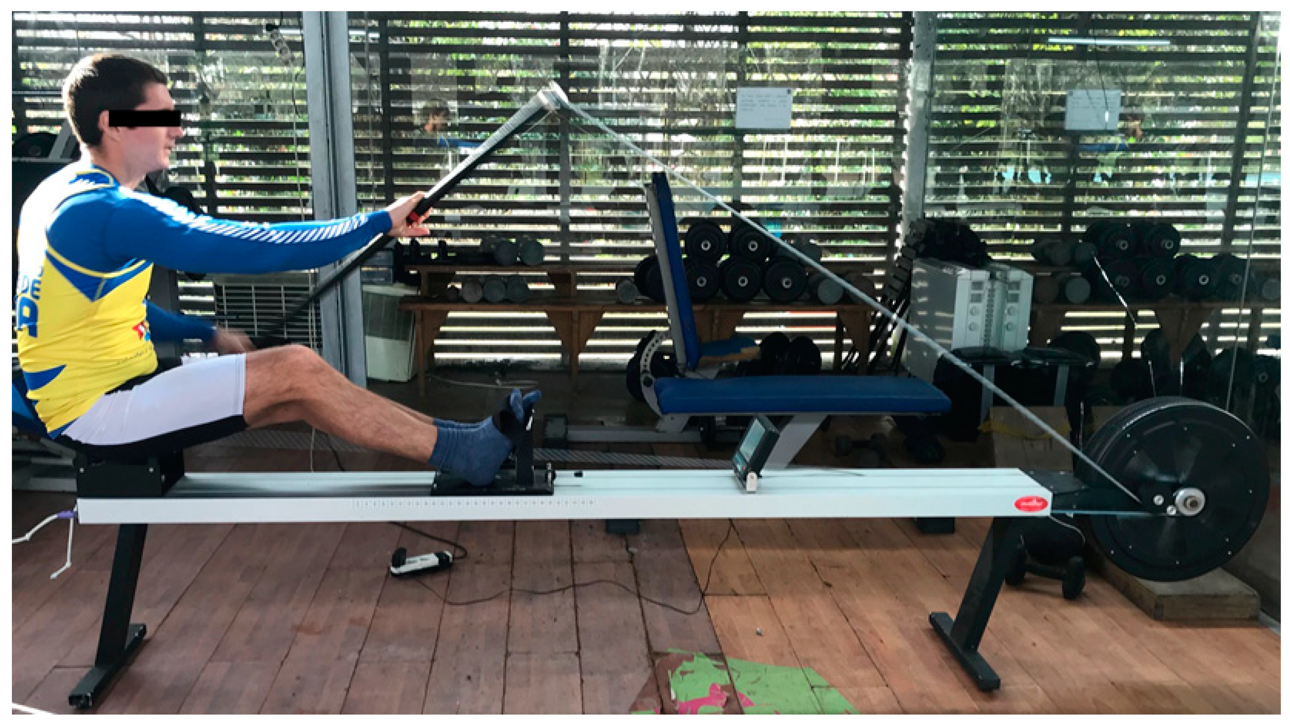 Dentistry 06 00063 g008