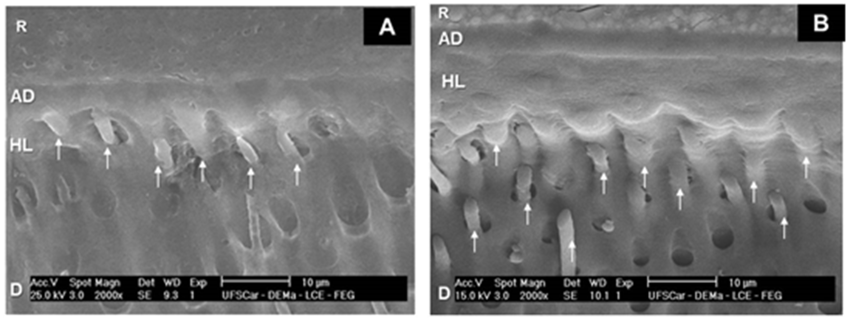 Dentistry 07 00035 g003