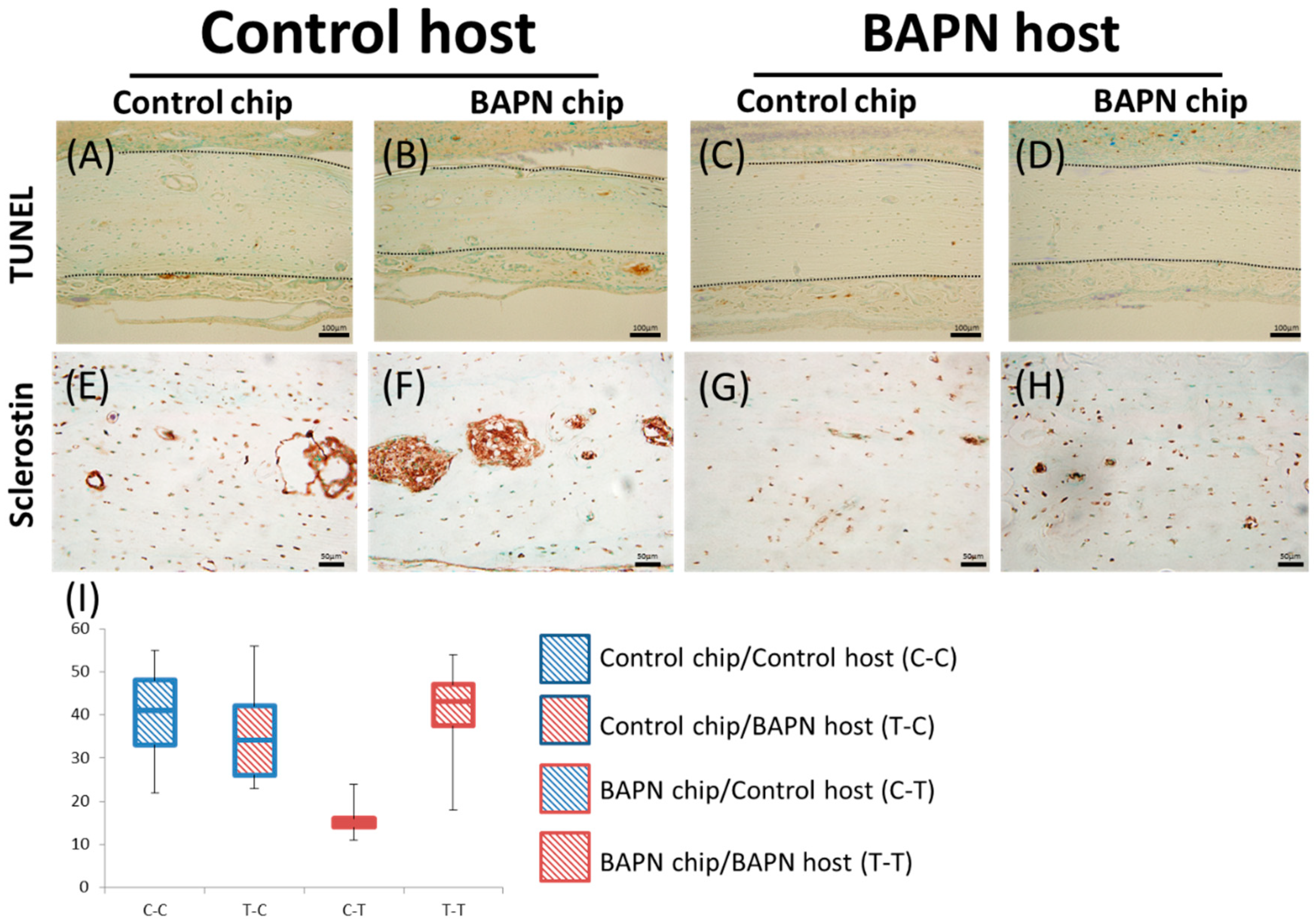 Dentistry 07 00045 g005