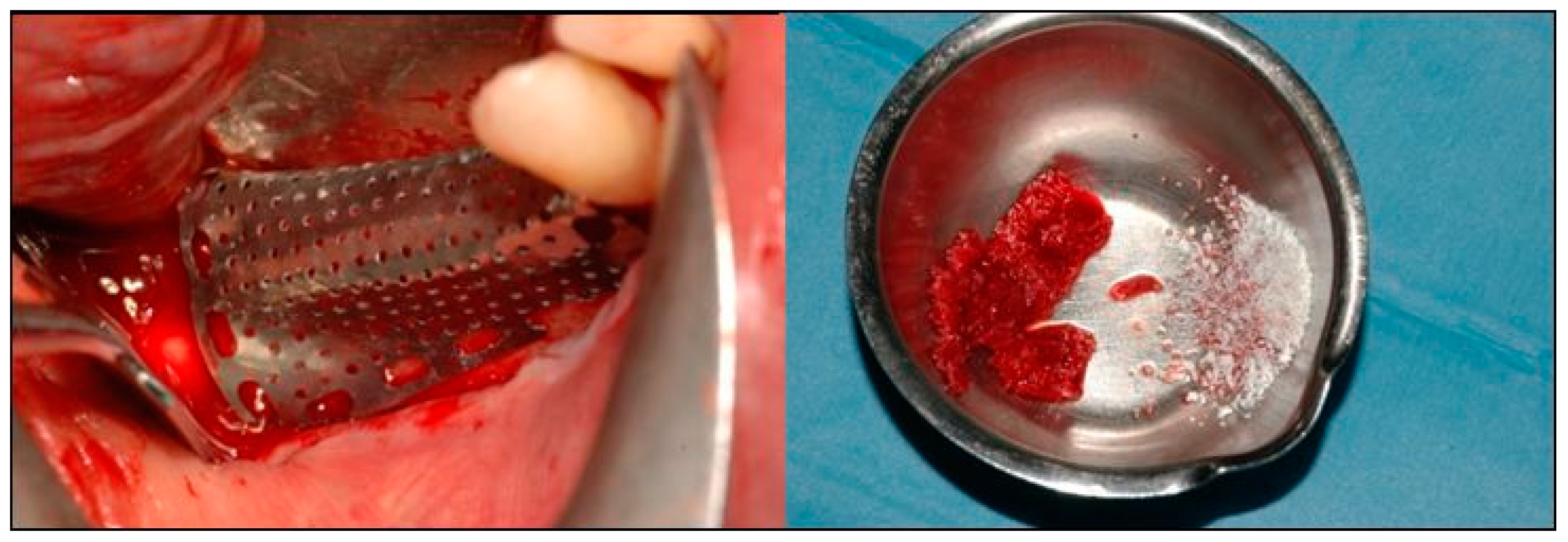 Dentistry 07 00077 g006