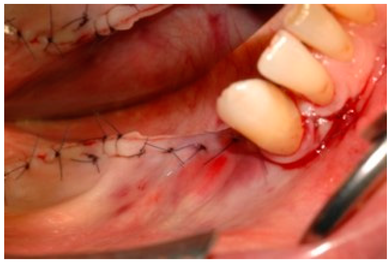 Dentistry 07 00077 g008