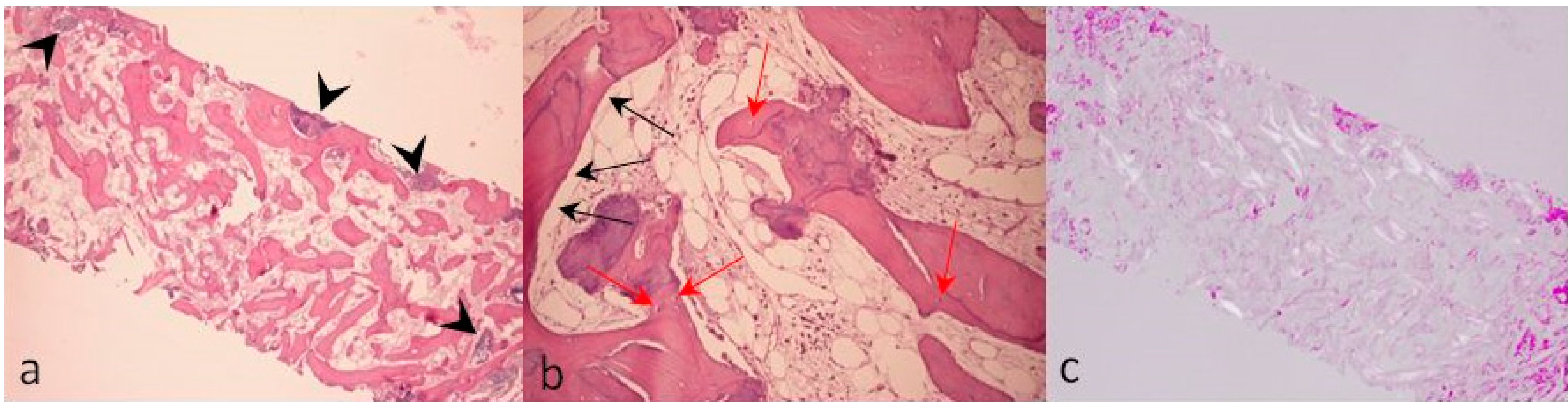 Dentistry 07 00077 g012